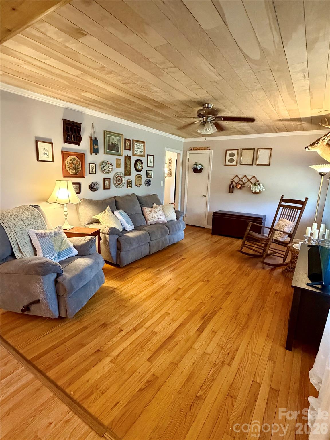 114 Chaney Street — Wingate