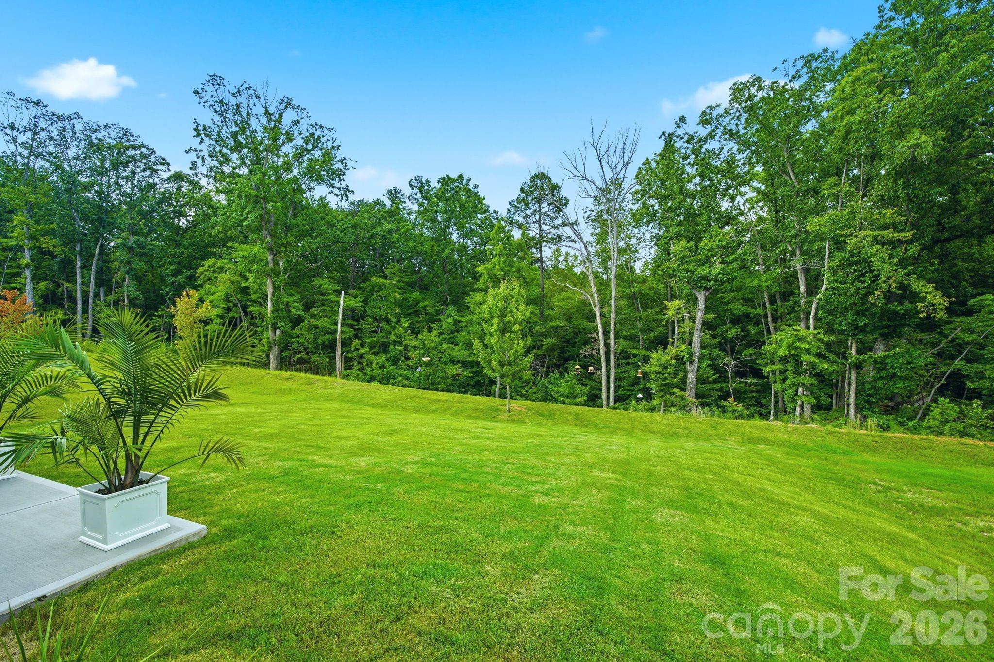 153 Calvin Creek Drive — Troutman