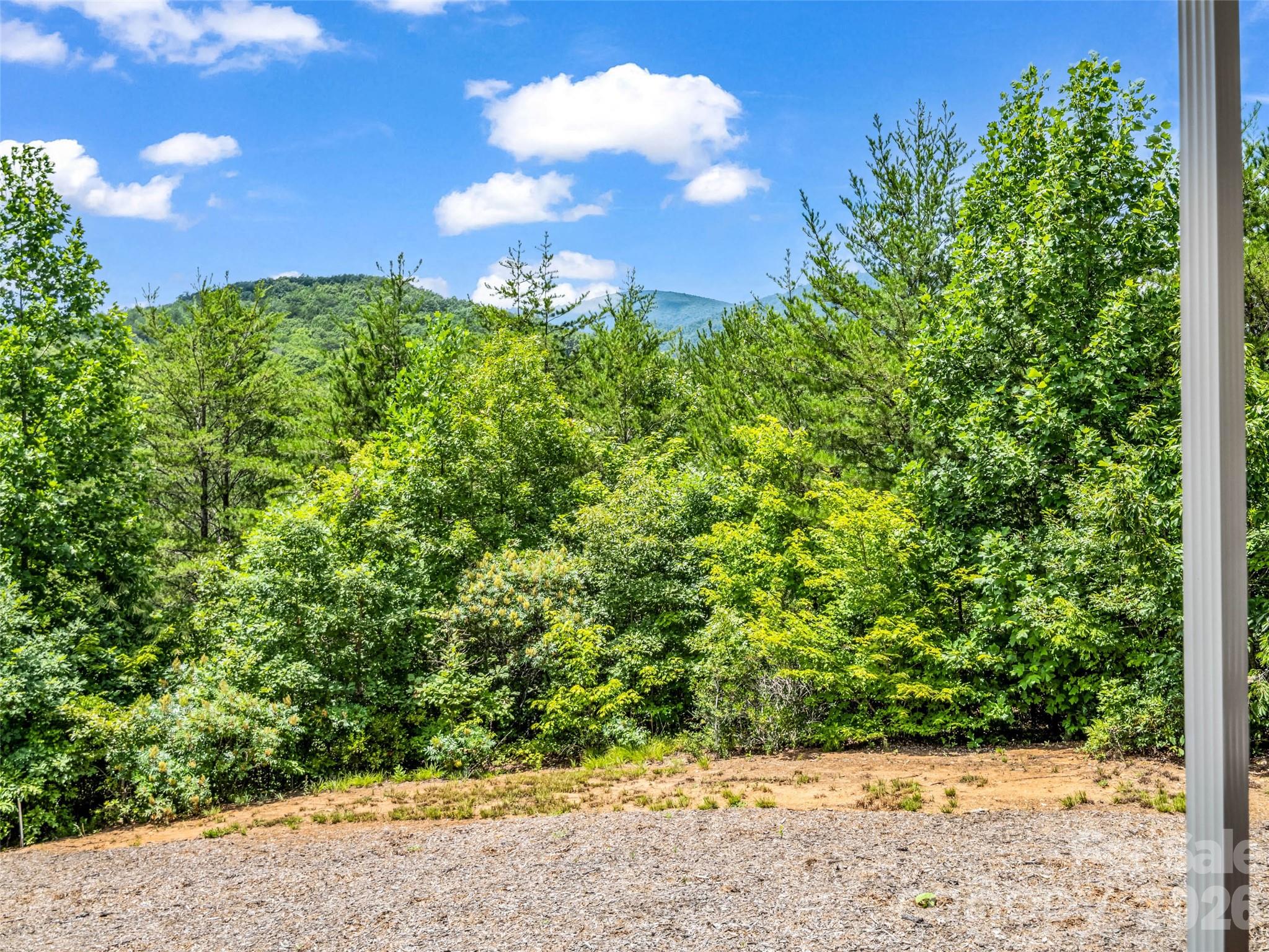1110 Laughter Road — Mill Spring