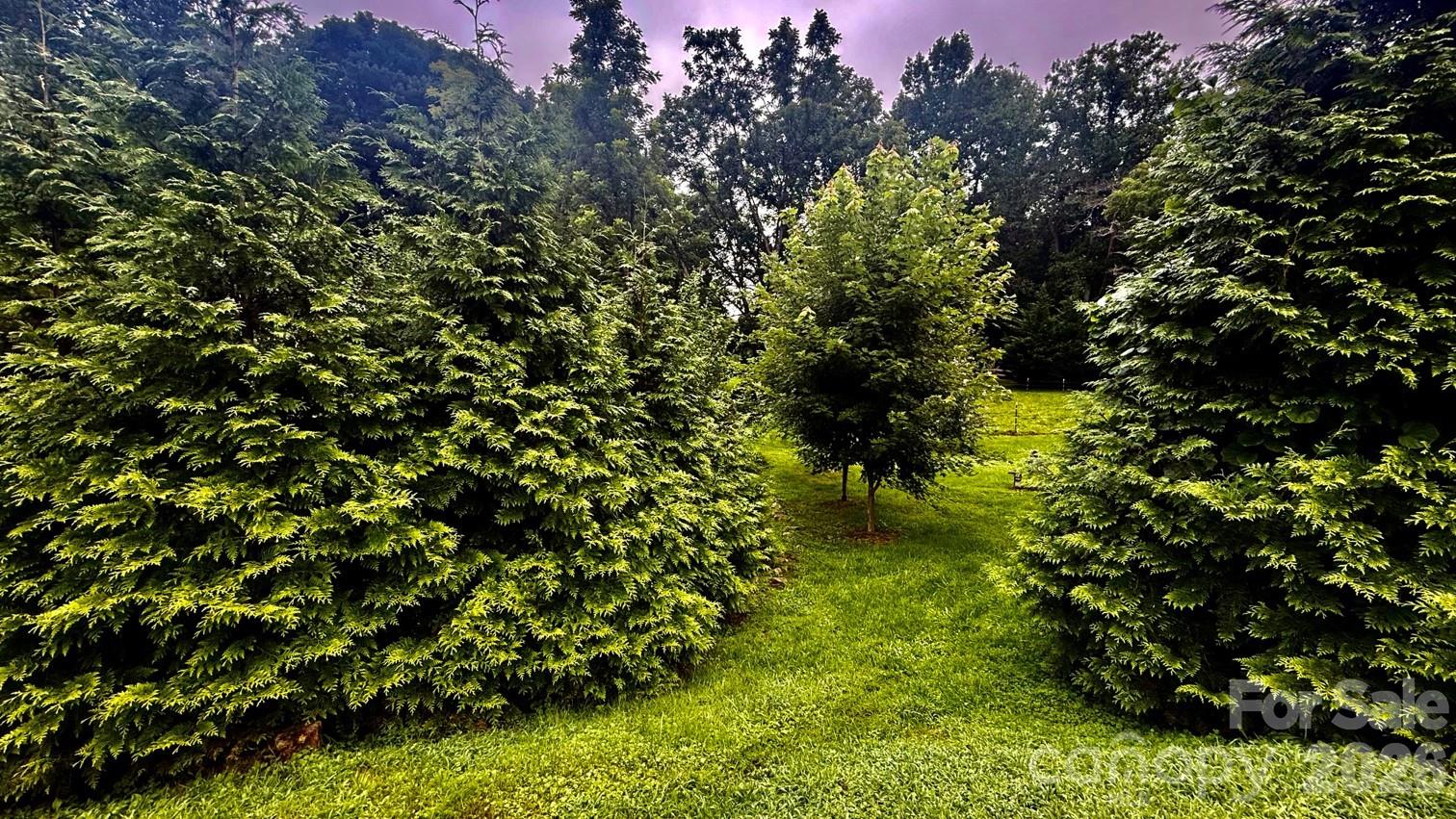 5 Northlake Drive — Weaverville