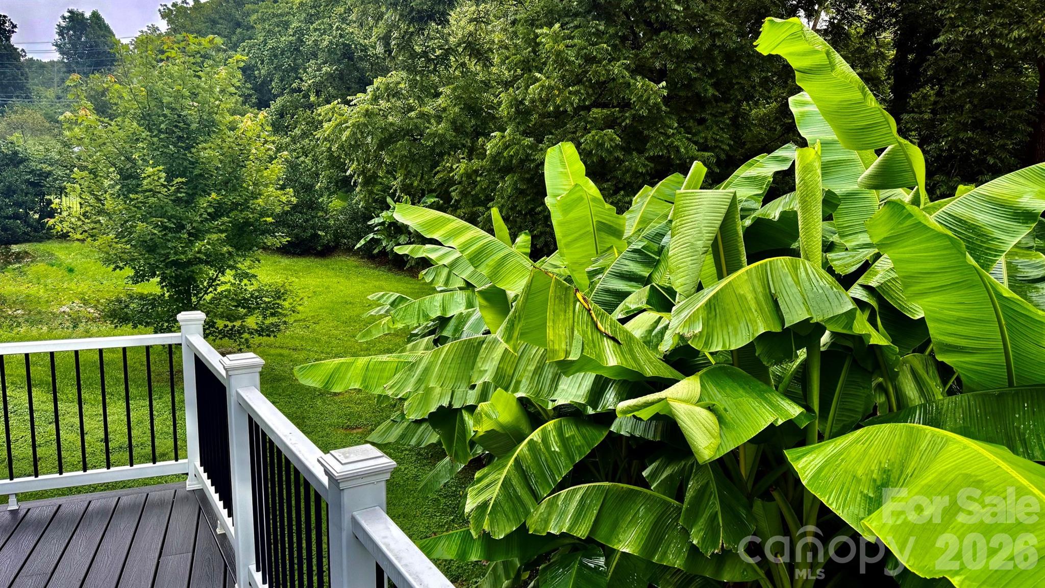 5 Northlake Drive — Weaverville
