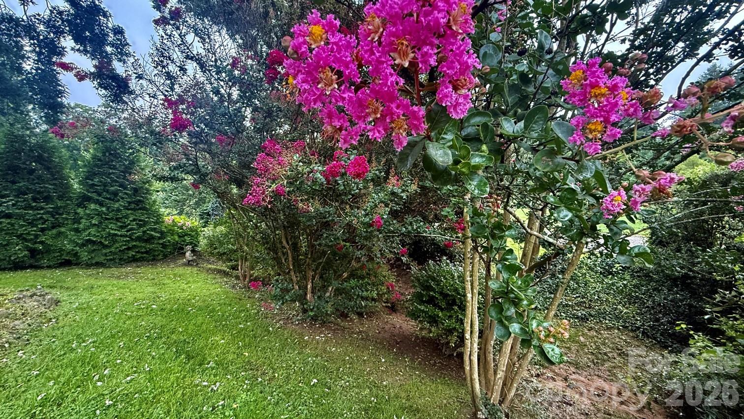 5 Northlake Drive — Weaverville