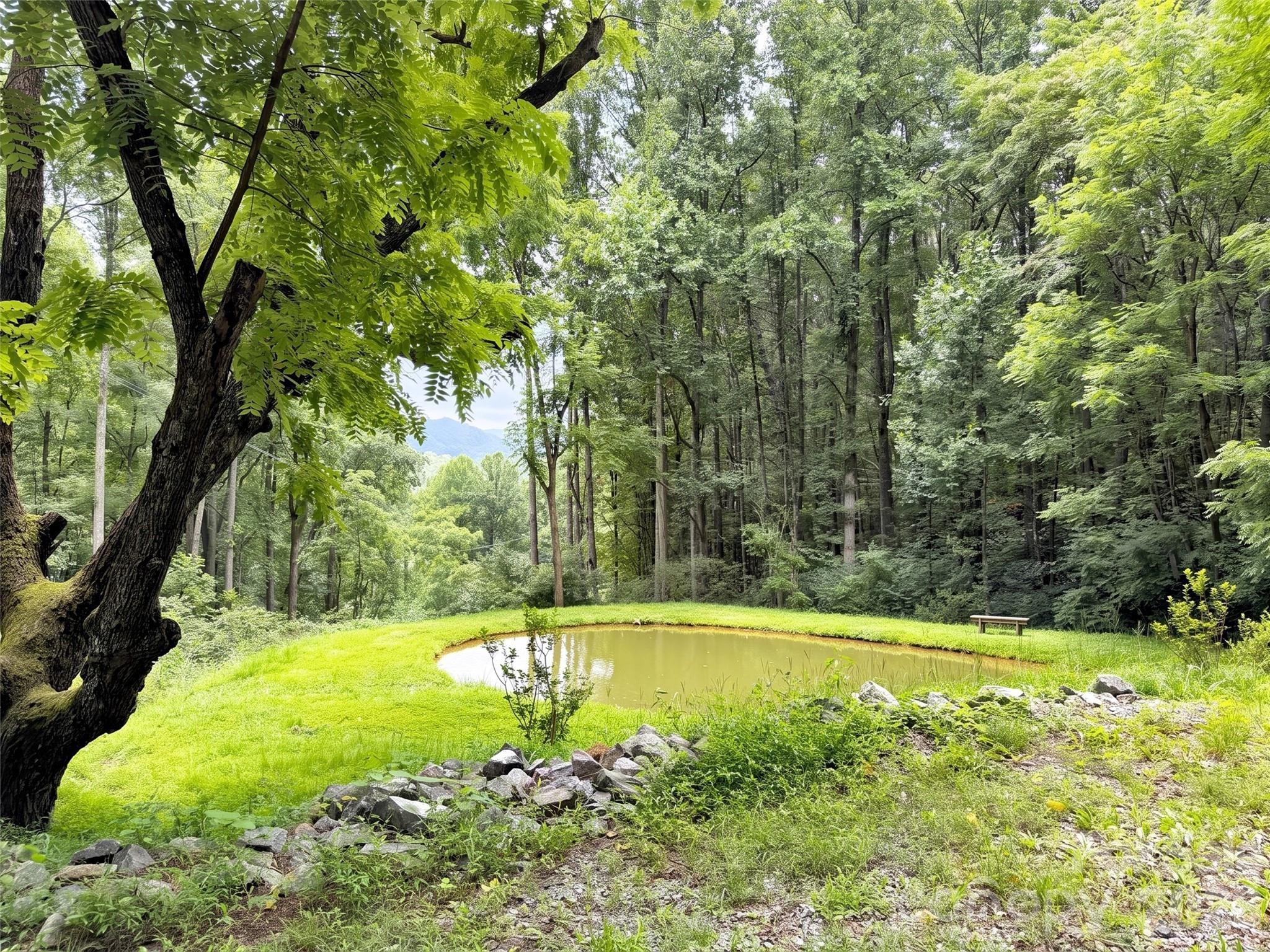 291 Incline Drive Drive — Sylva