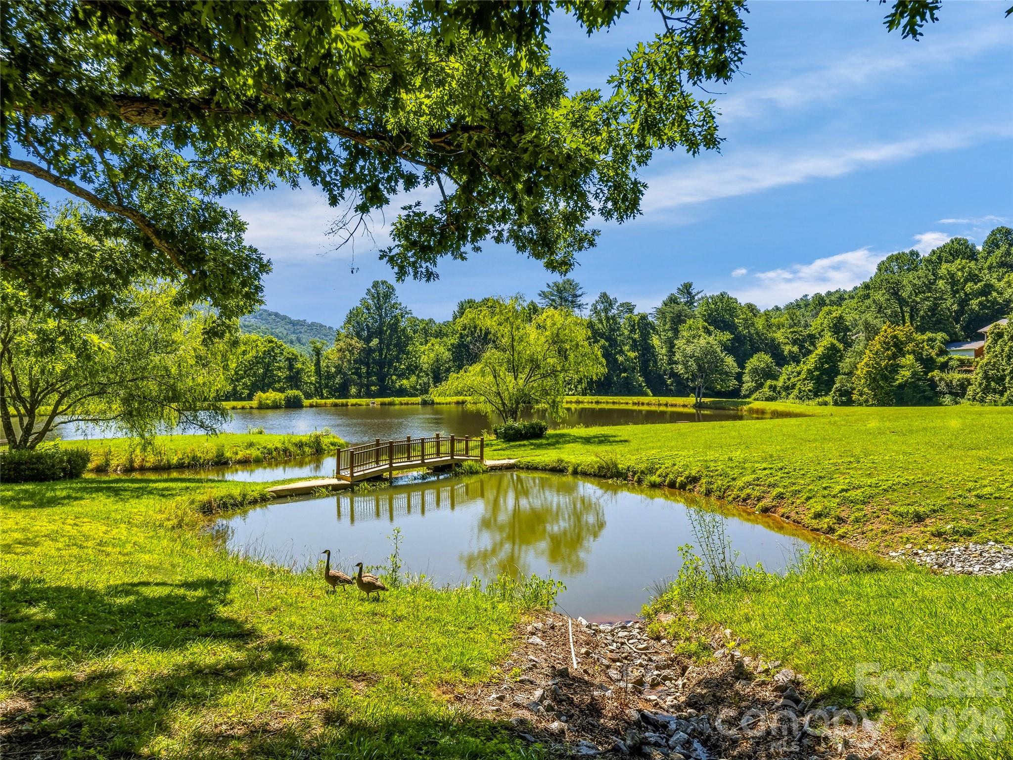 13 Ashley Road — Asheville