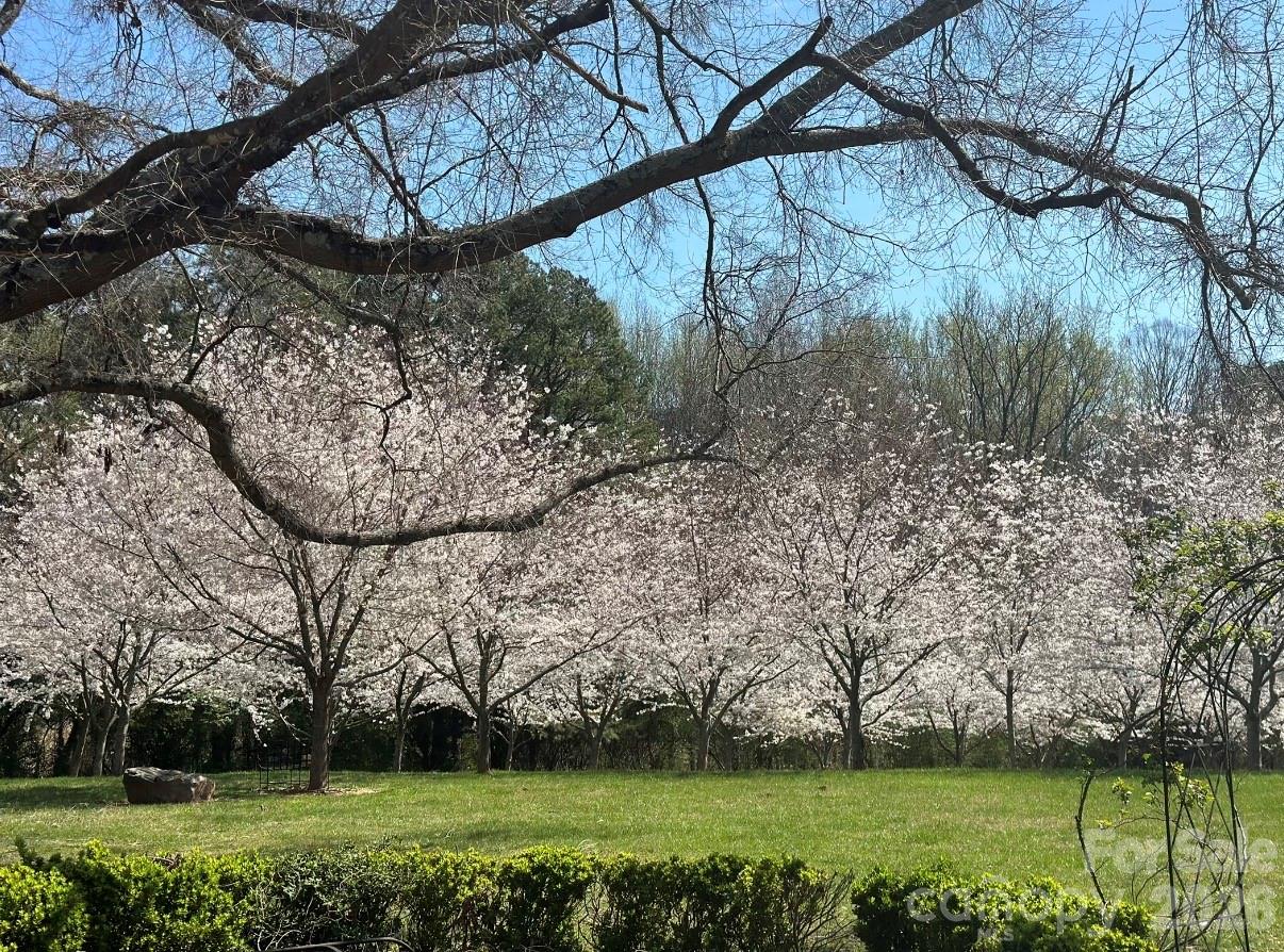 832 Wren Road — Gastonia