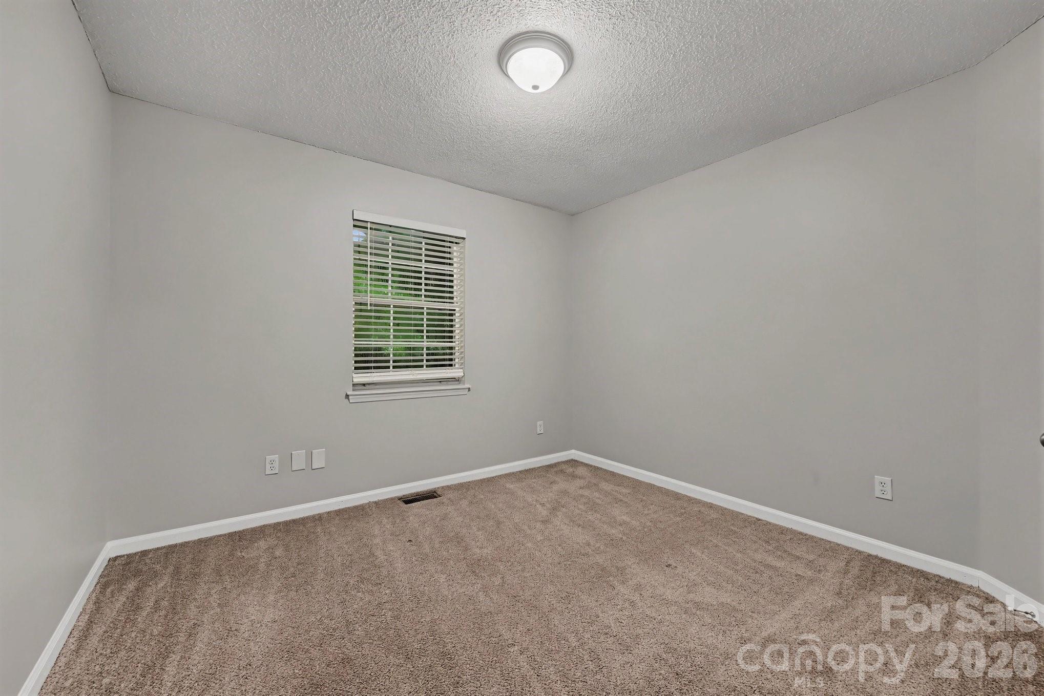 8722 Woodhill Manor Court — Charlotte