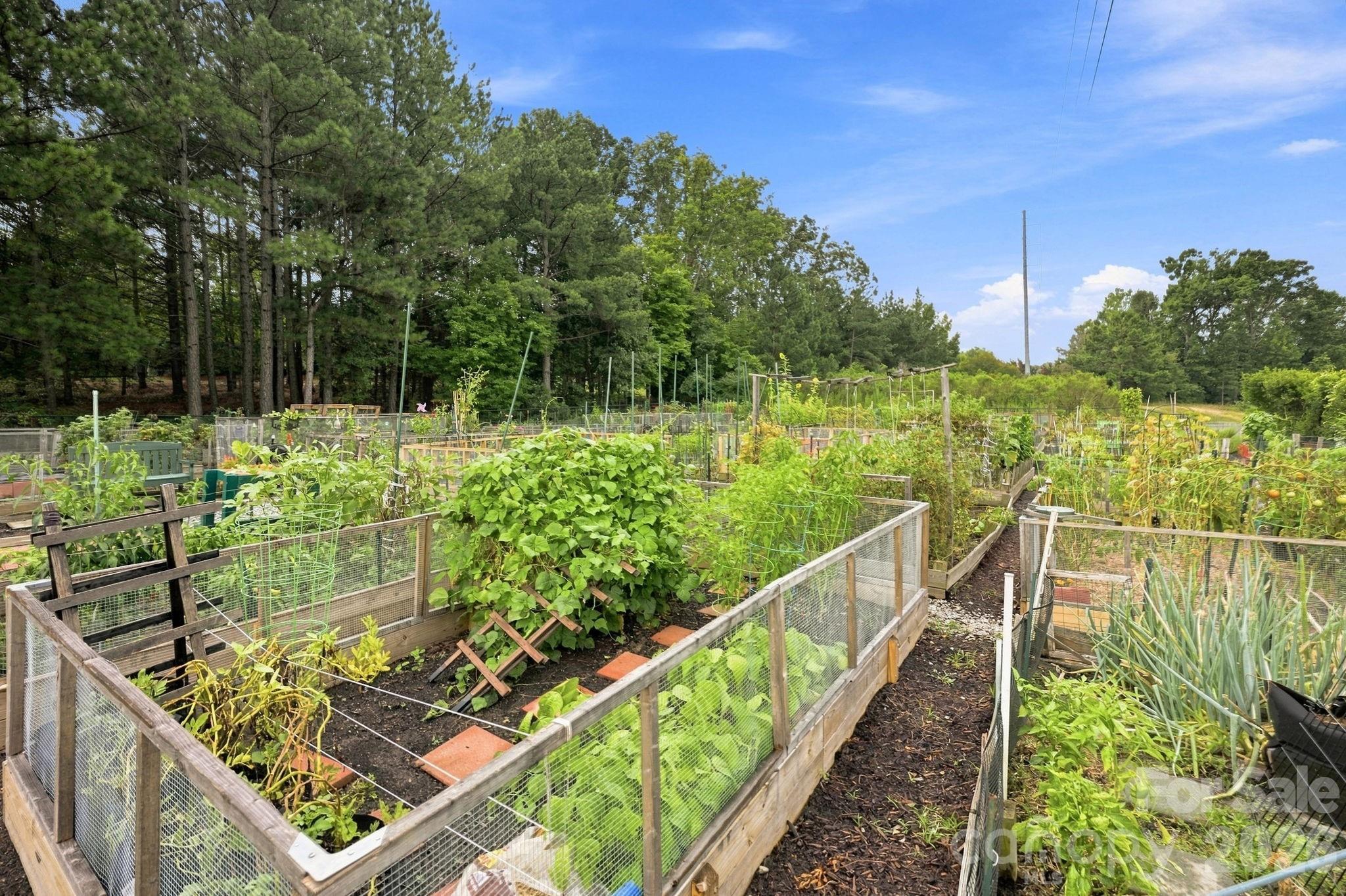 1040 Mesa Verde Drive — Fort Mill