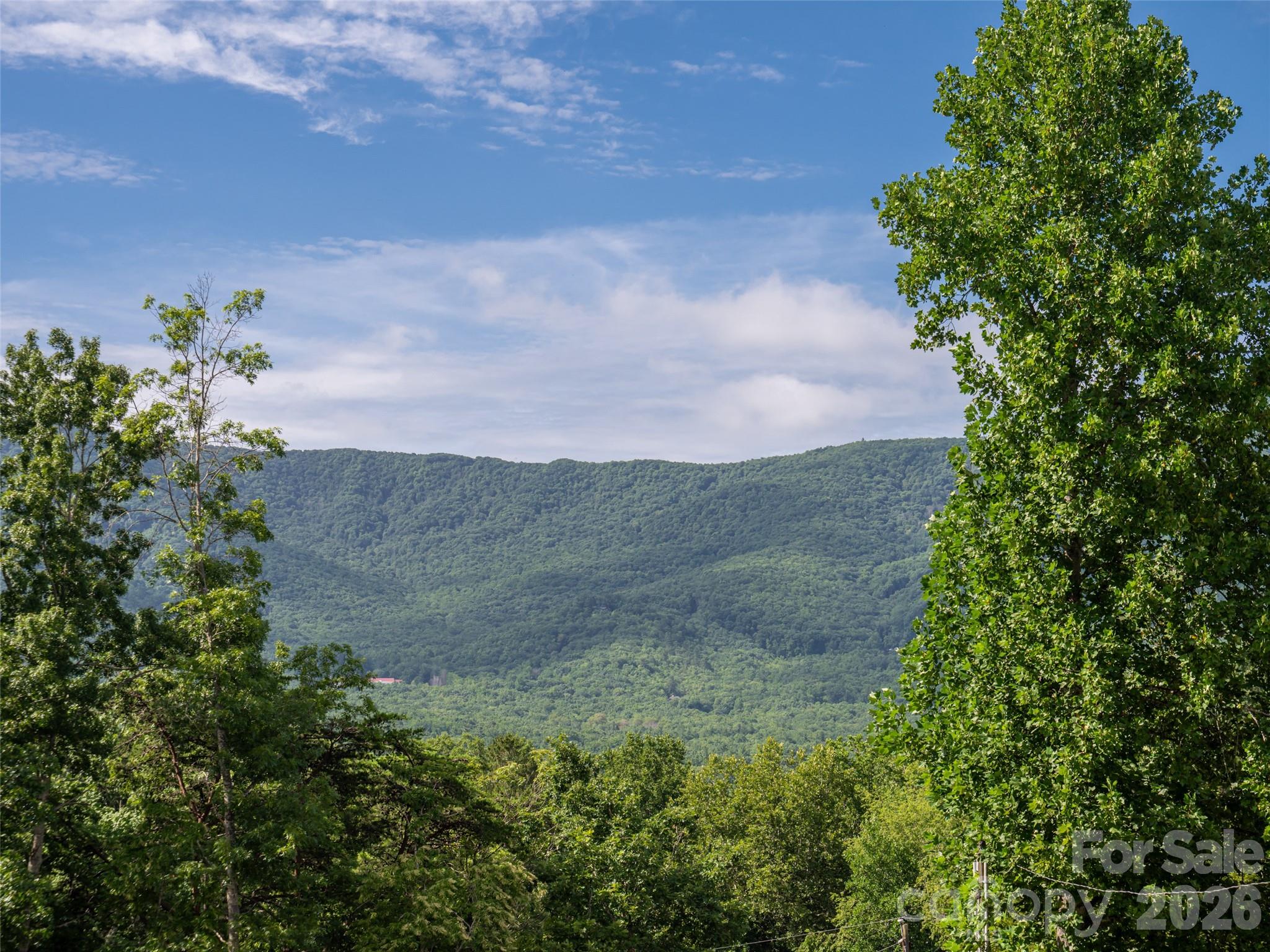 125 Craggy Street — Black Mountain