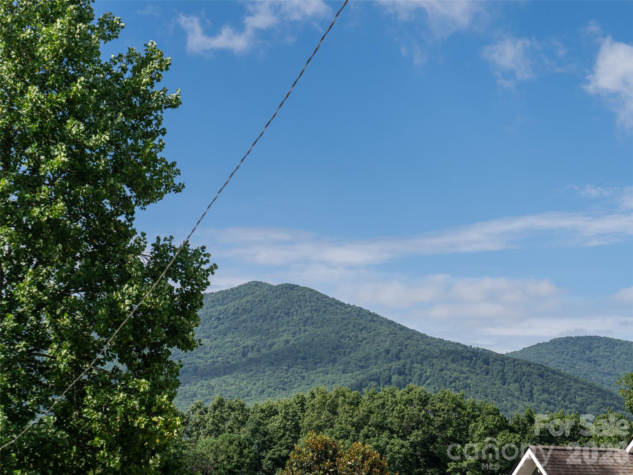 125 Craggy Street — Black Mountain