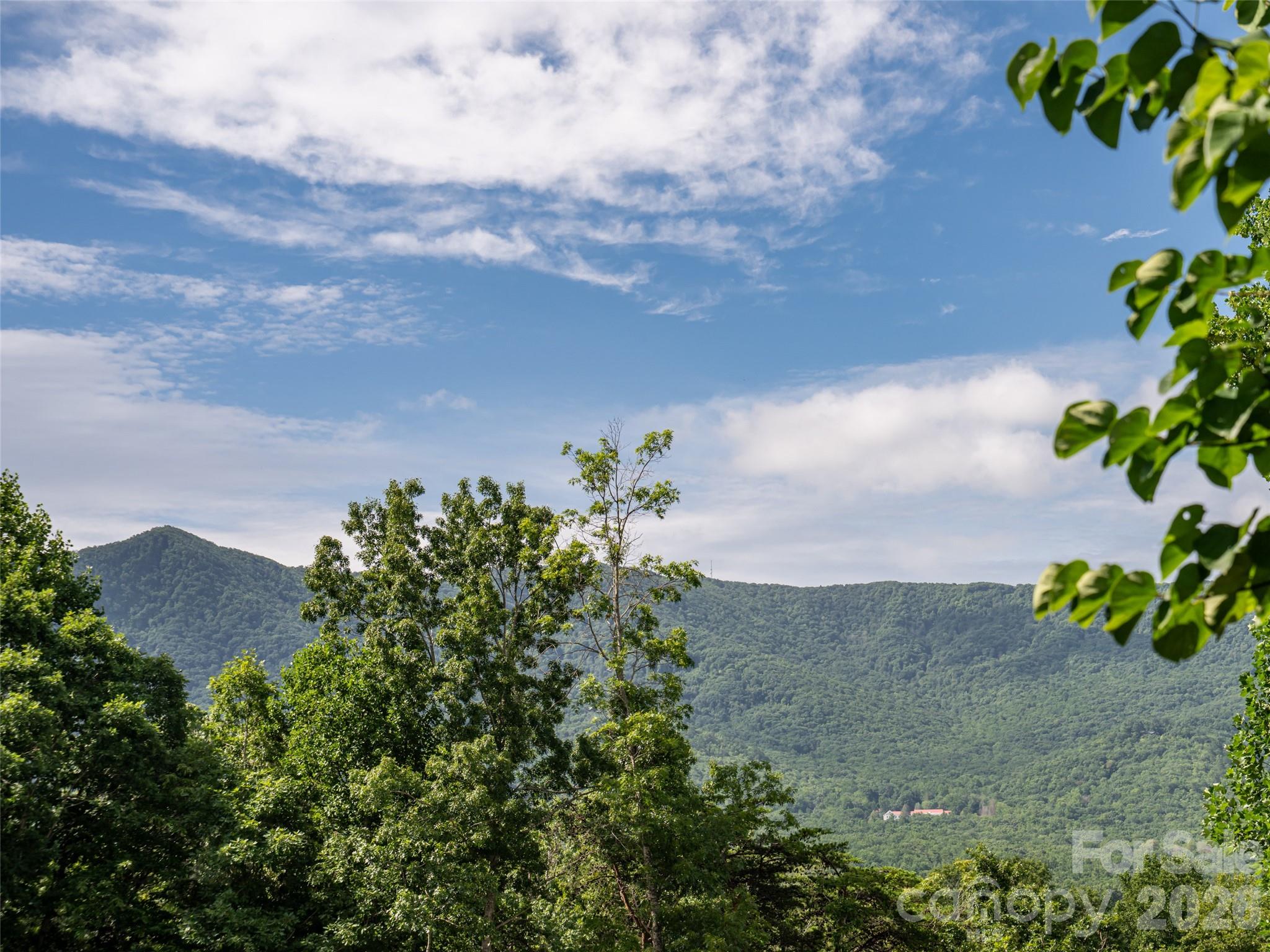125 Craggy Street — Black Mountain