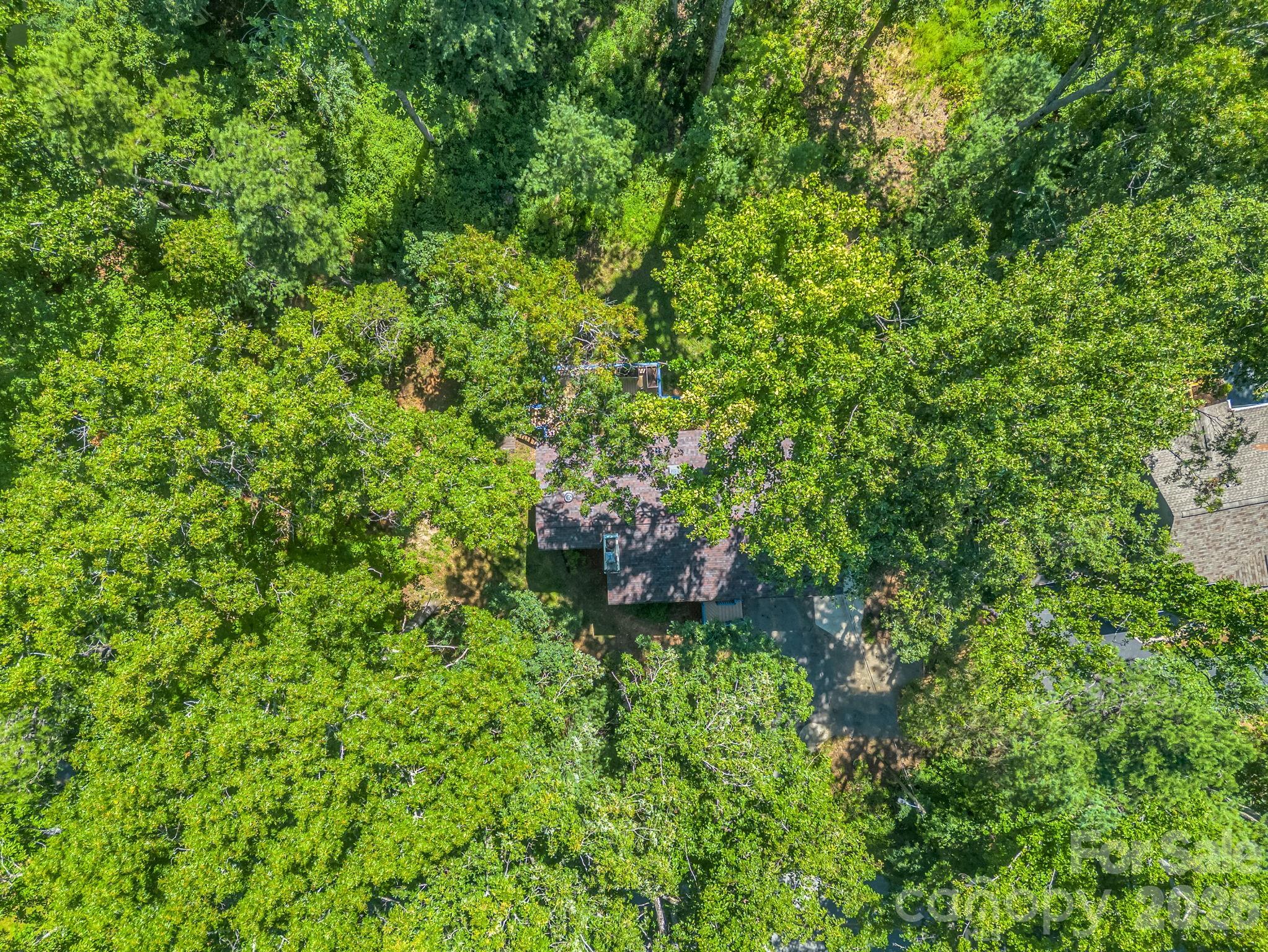 177 Weston Road — Arden
