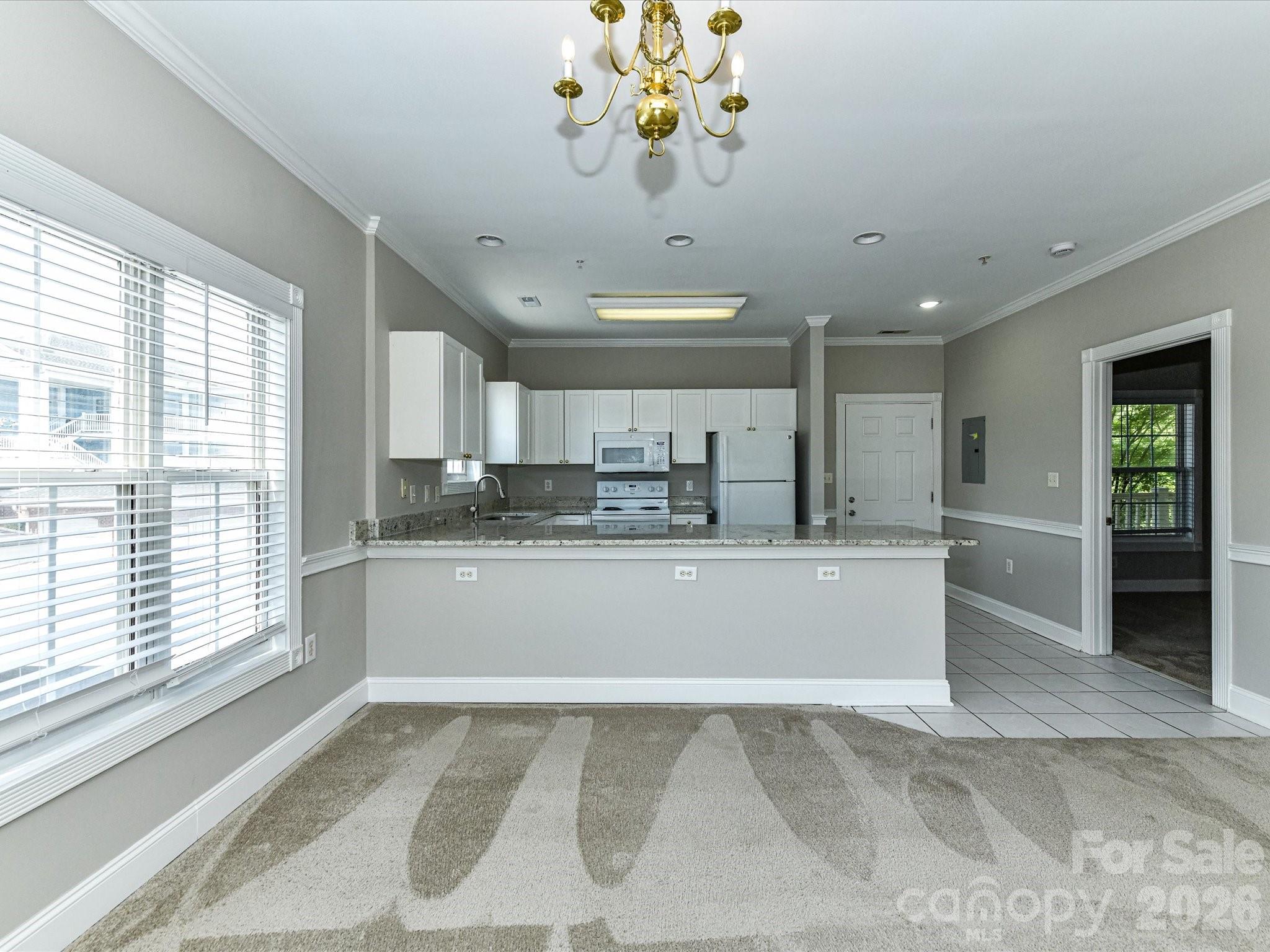 8658 Coralbell Lane — Charlotte