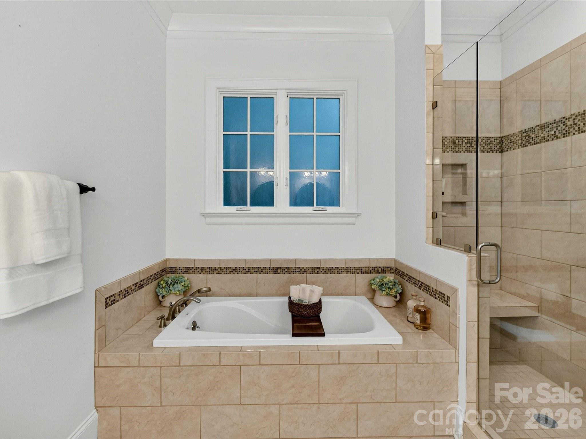 9417 White Hemlock Lane — Charlotte