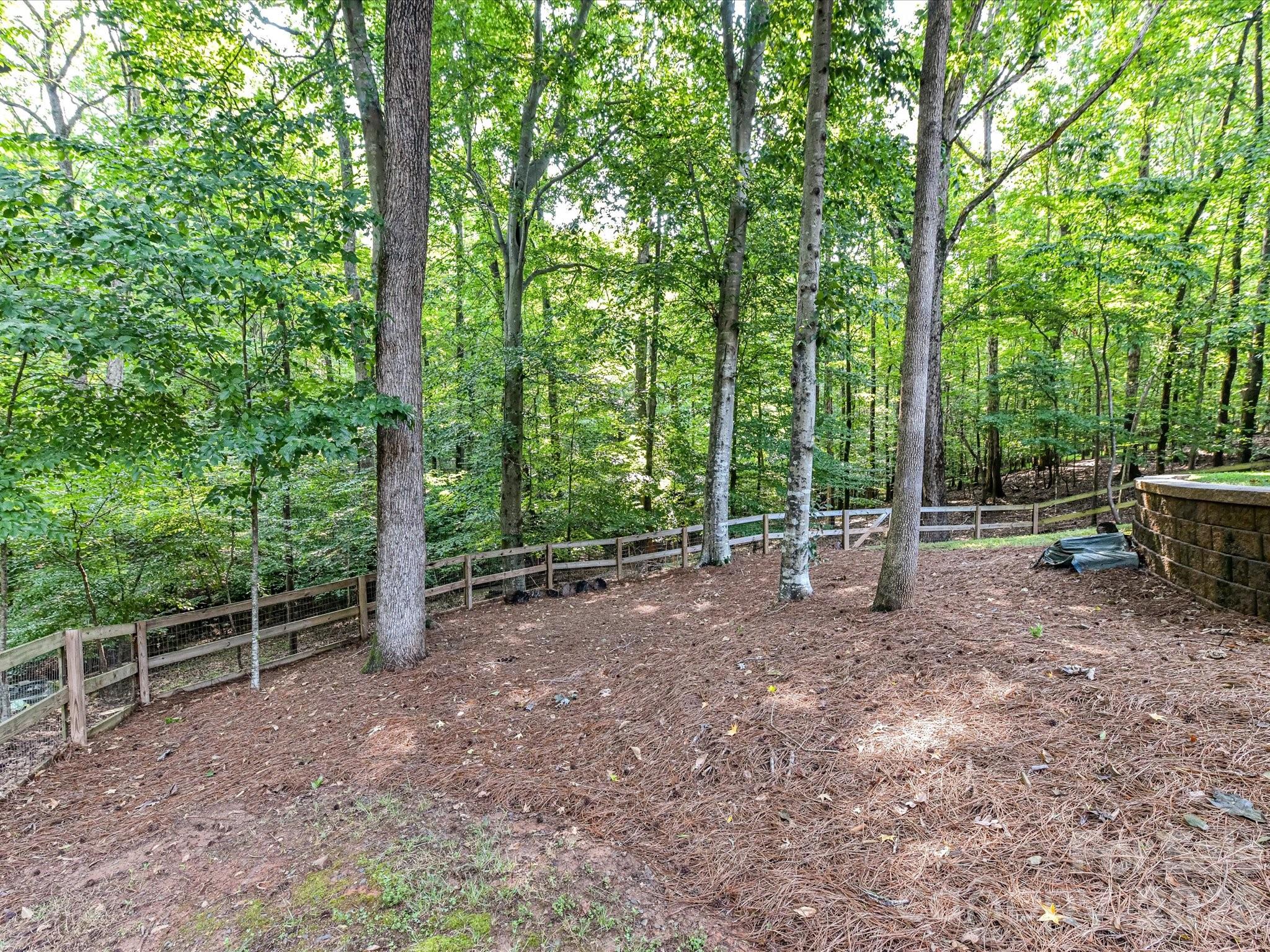 9417 White Hemlock Lane — Charlotte