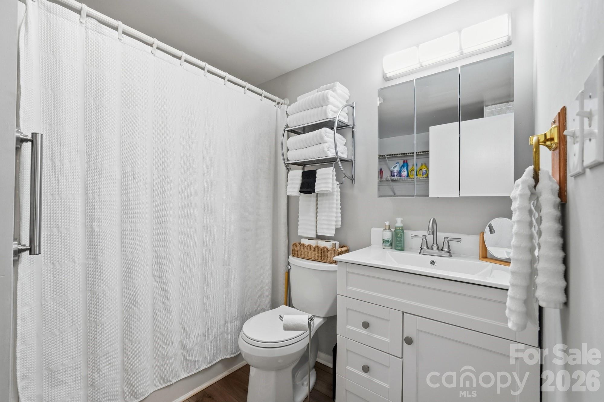21108 Brinkley Street — Cornelius