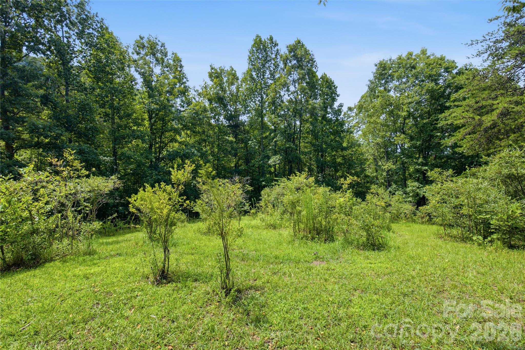 316-318 Cane Creek Mountain Road — Union Mills
