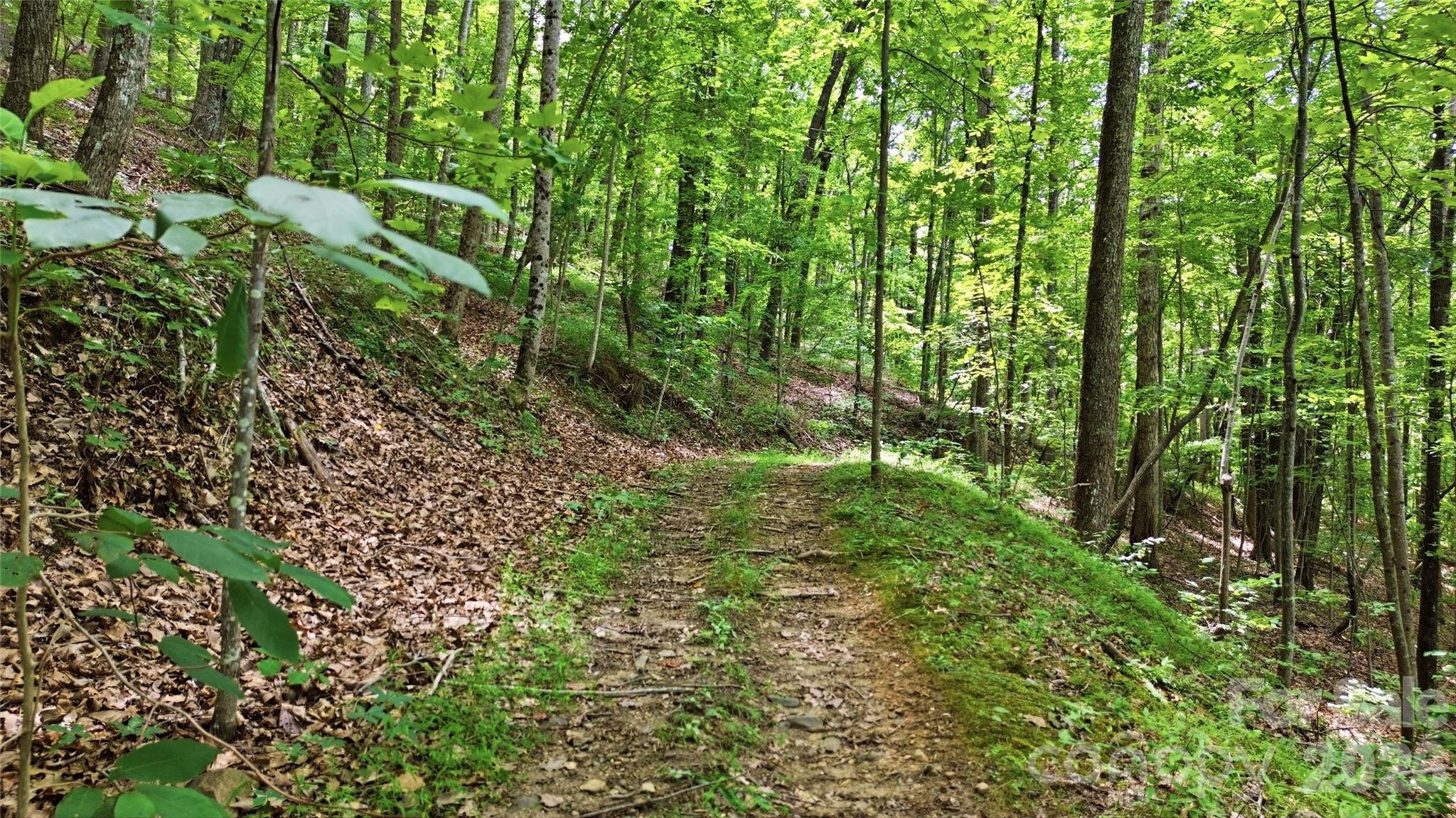 316-318 Cane Creek Mountain Road — Union Mills