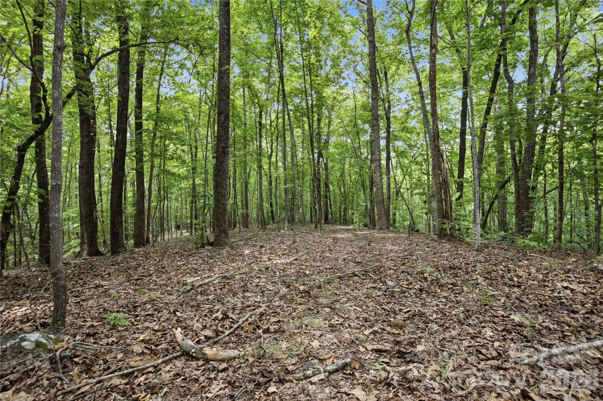 316-318 Cane Creek Mountain Road — Union Mills