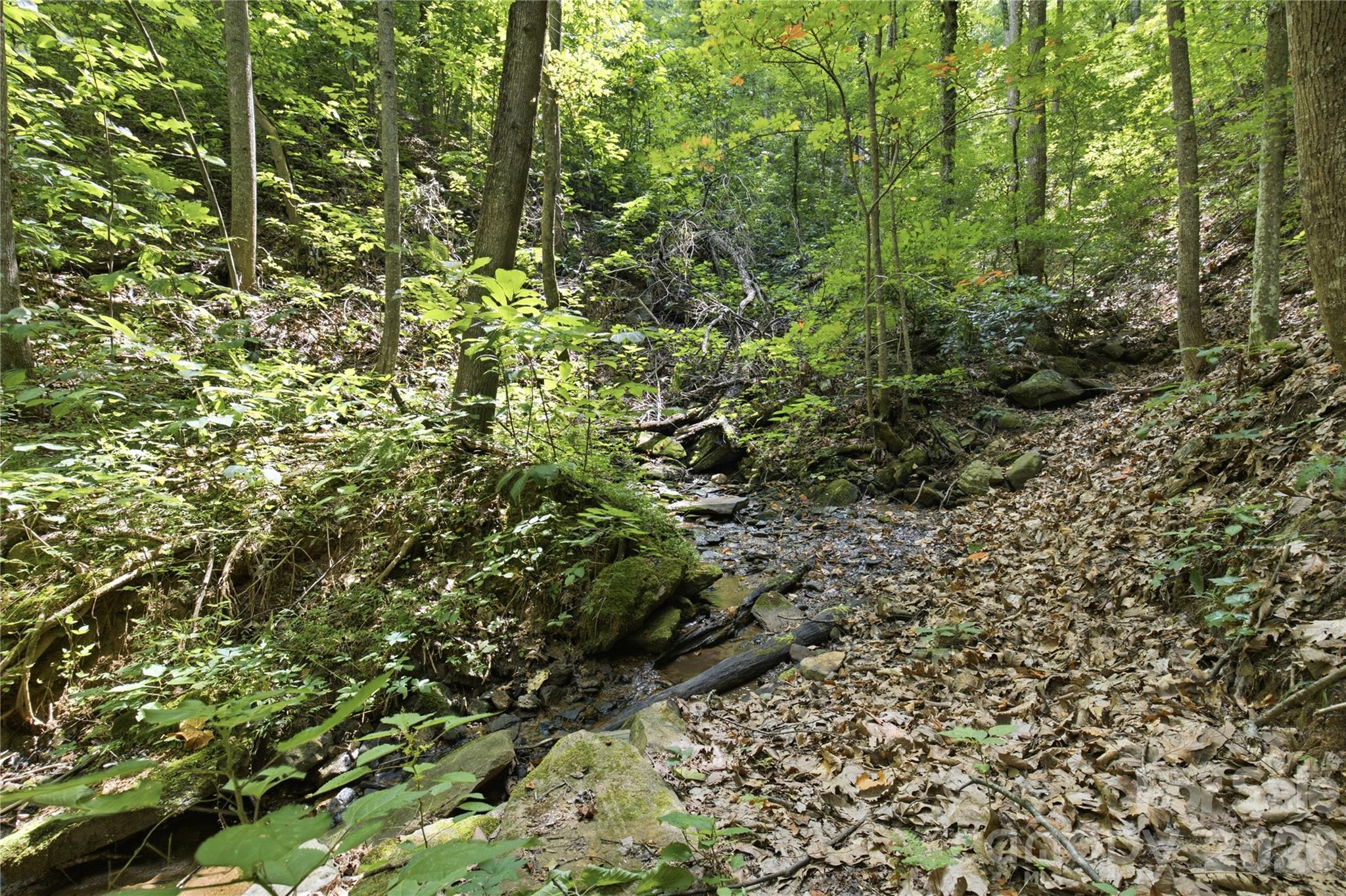 316-318 Cane Creek Mountain Road — Union Mills