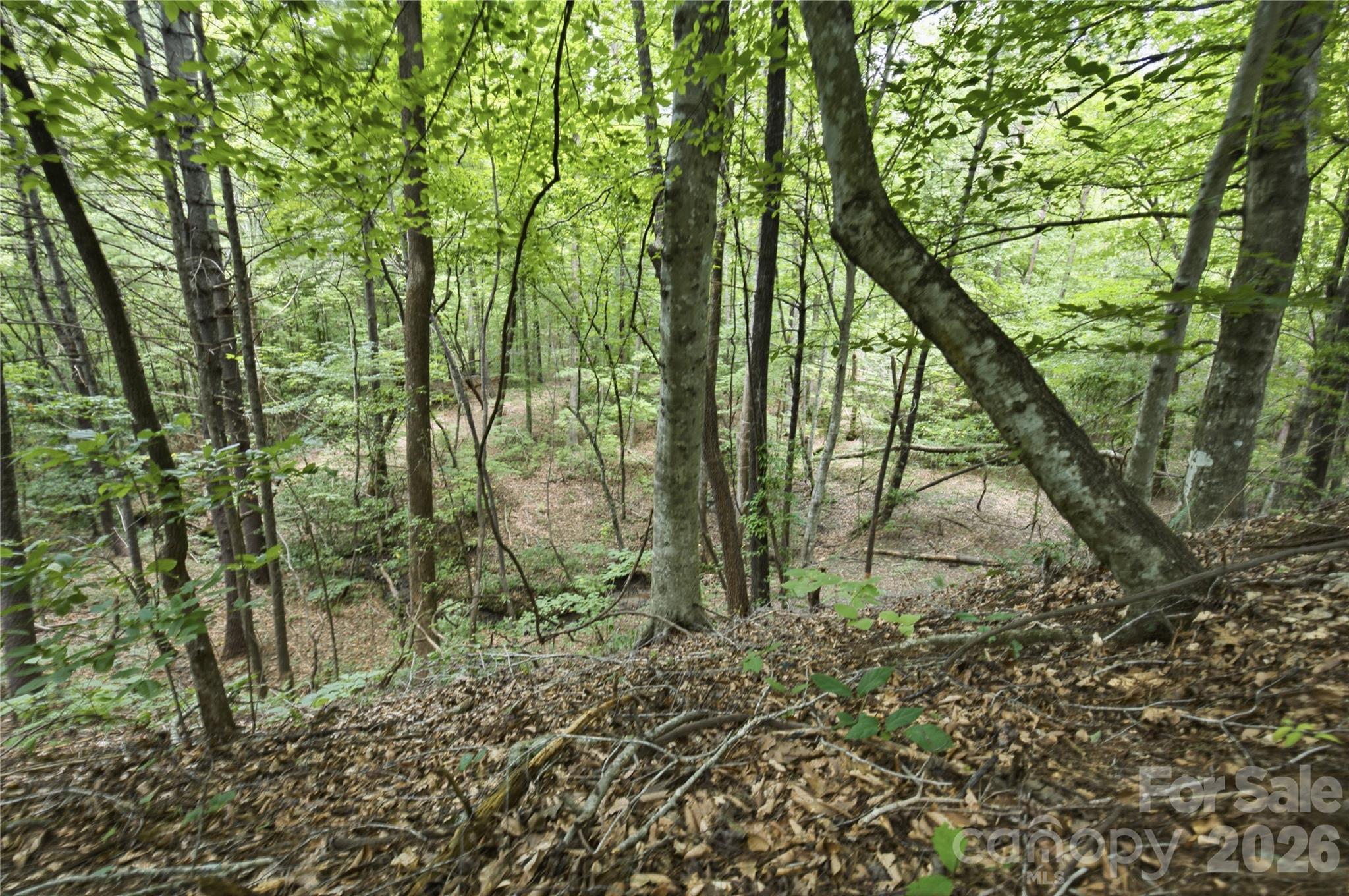 316-318 Cane Creek Mountain Road — Union Mills