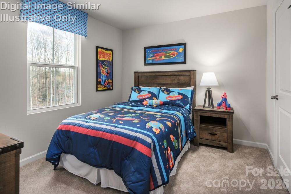 5422 McCallum Meadows Drive — Charlotte