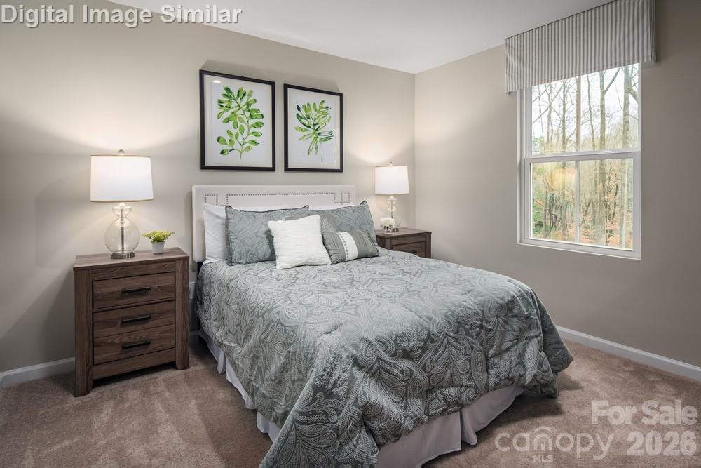 5422 McCallum Meadows Drive — Charlotte