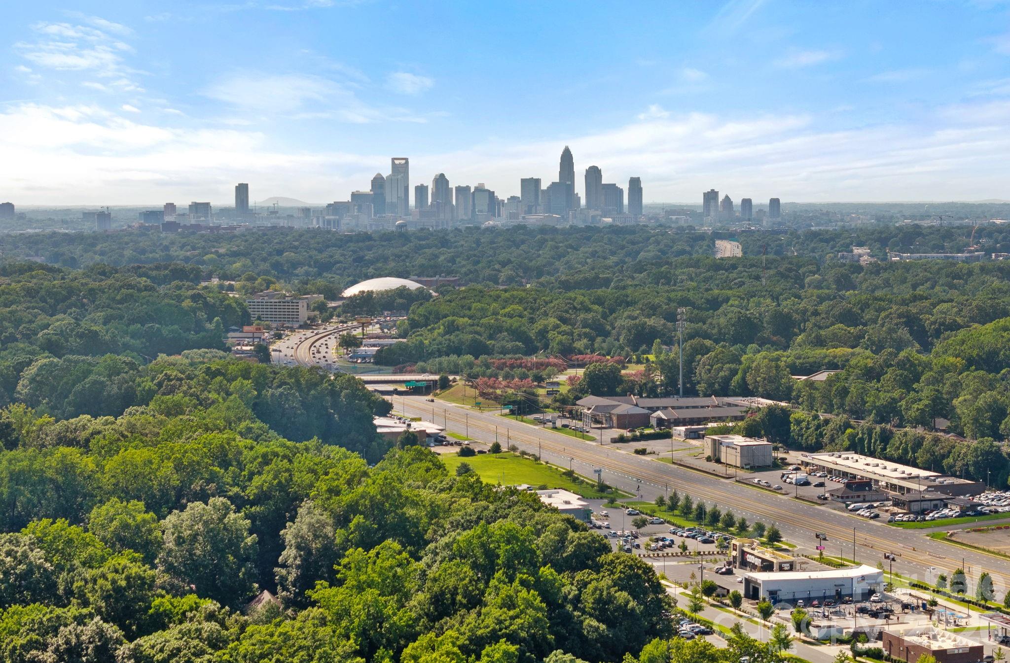 1036 Cutler Place — Charlotte
