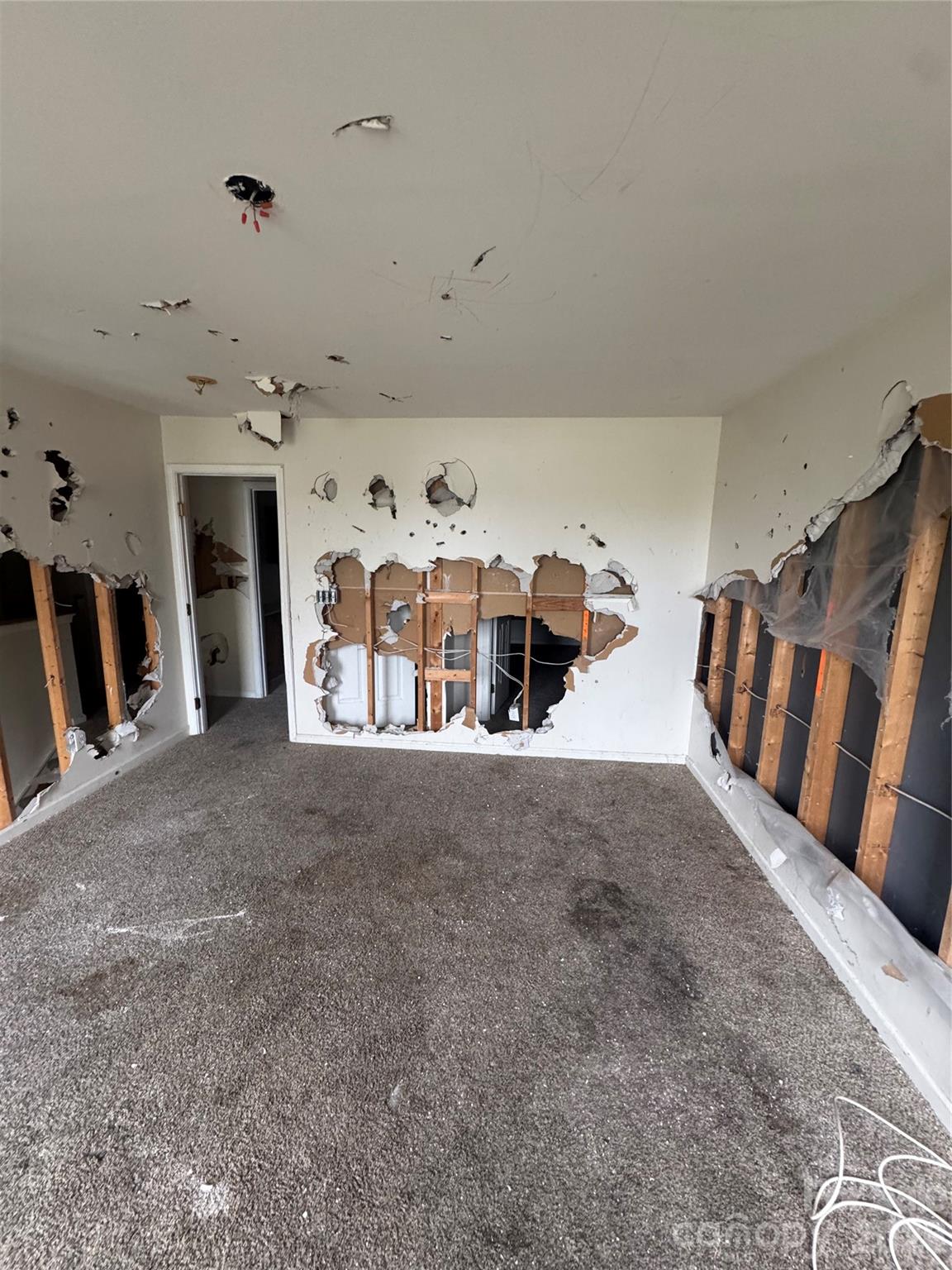 1319 Red Tallen Court — Charlotte