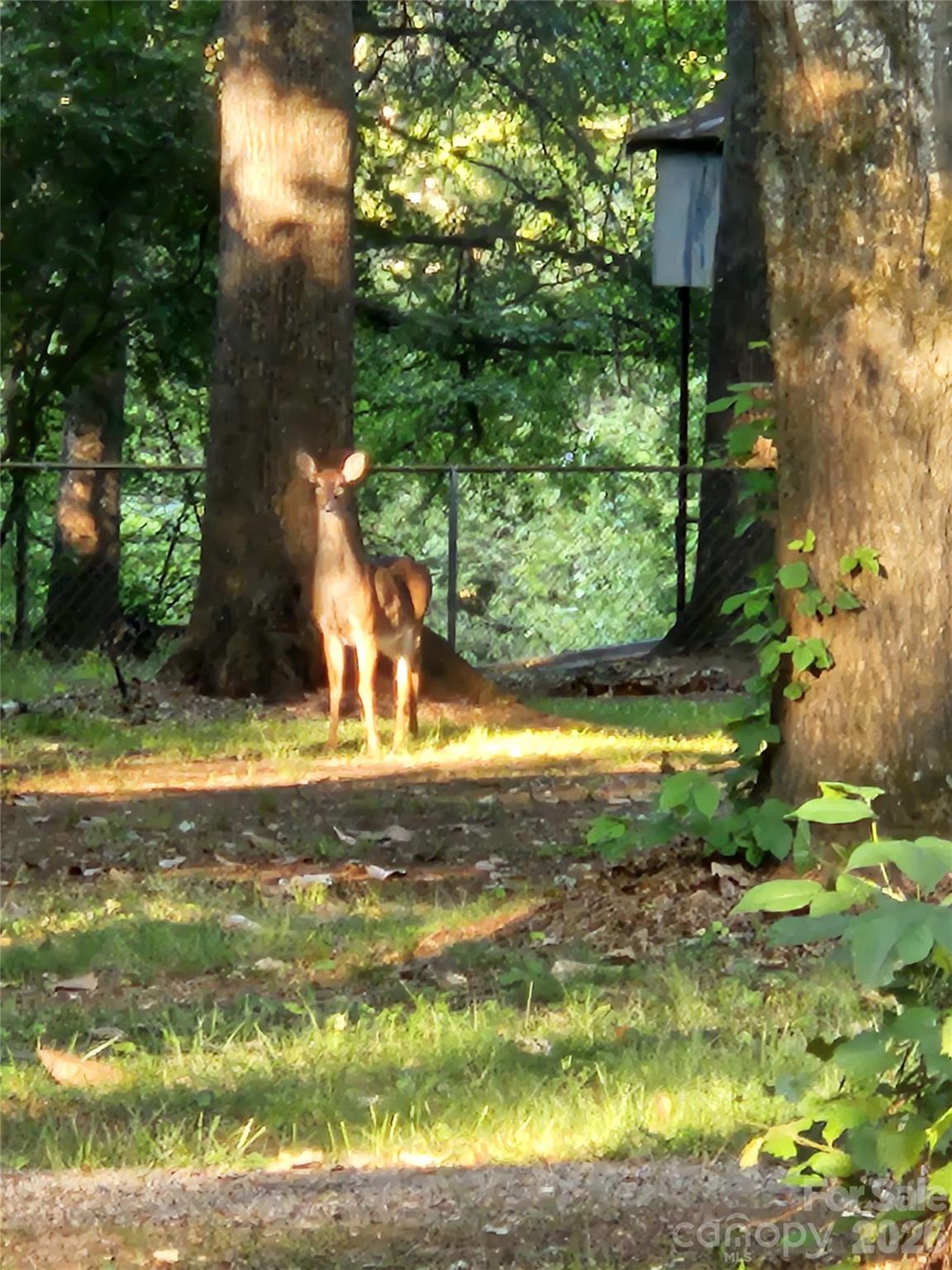 2125 Old Hickory Grove Road — Mount Holly