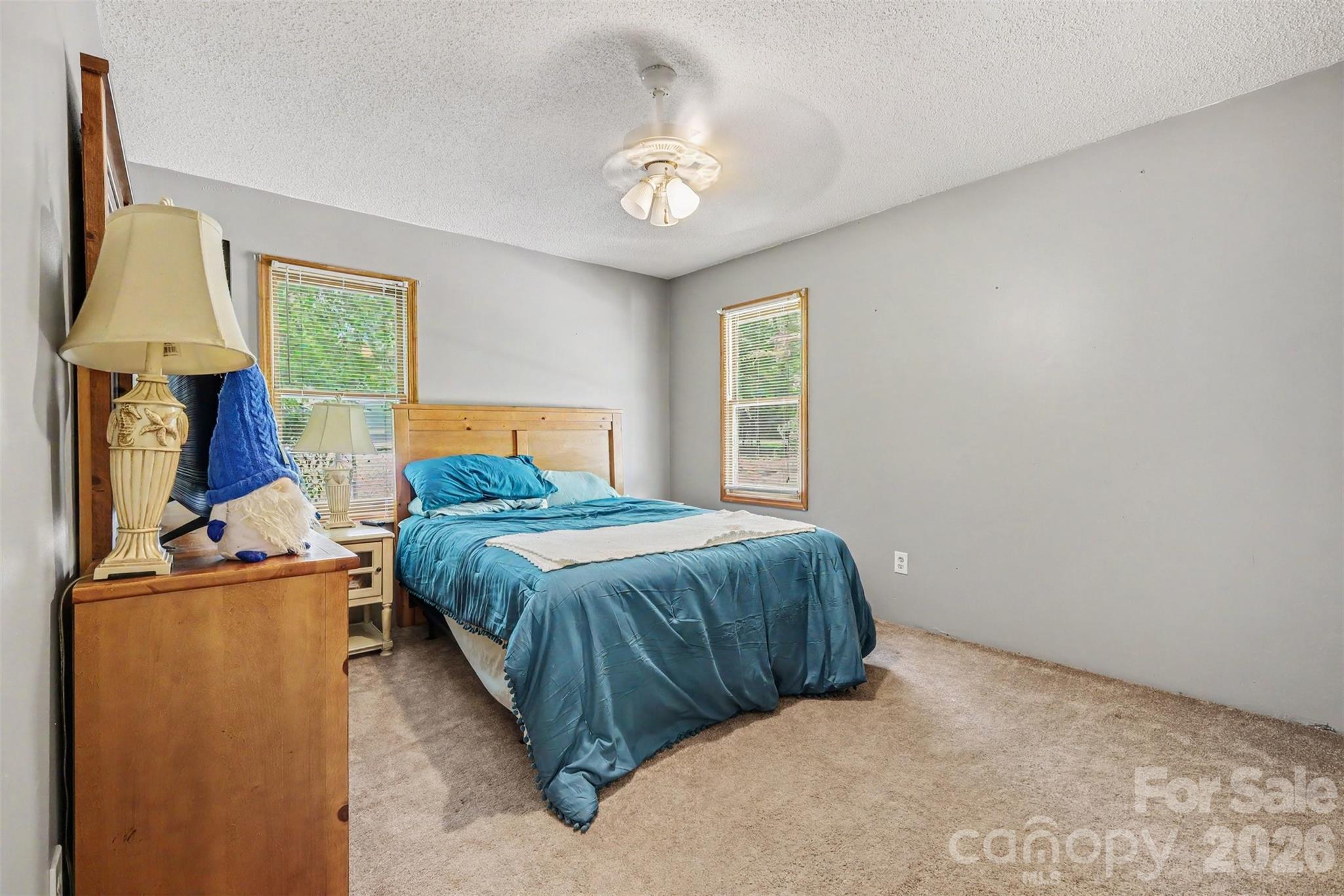 433 Foster Lake Road — Blacksburg