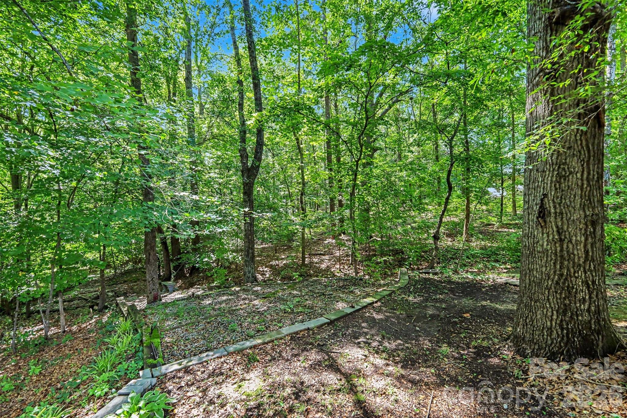 433 Foster Lake Road — Blacksburg