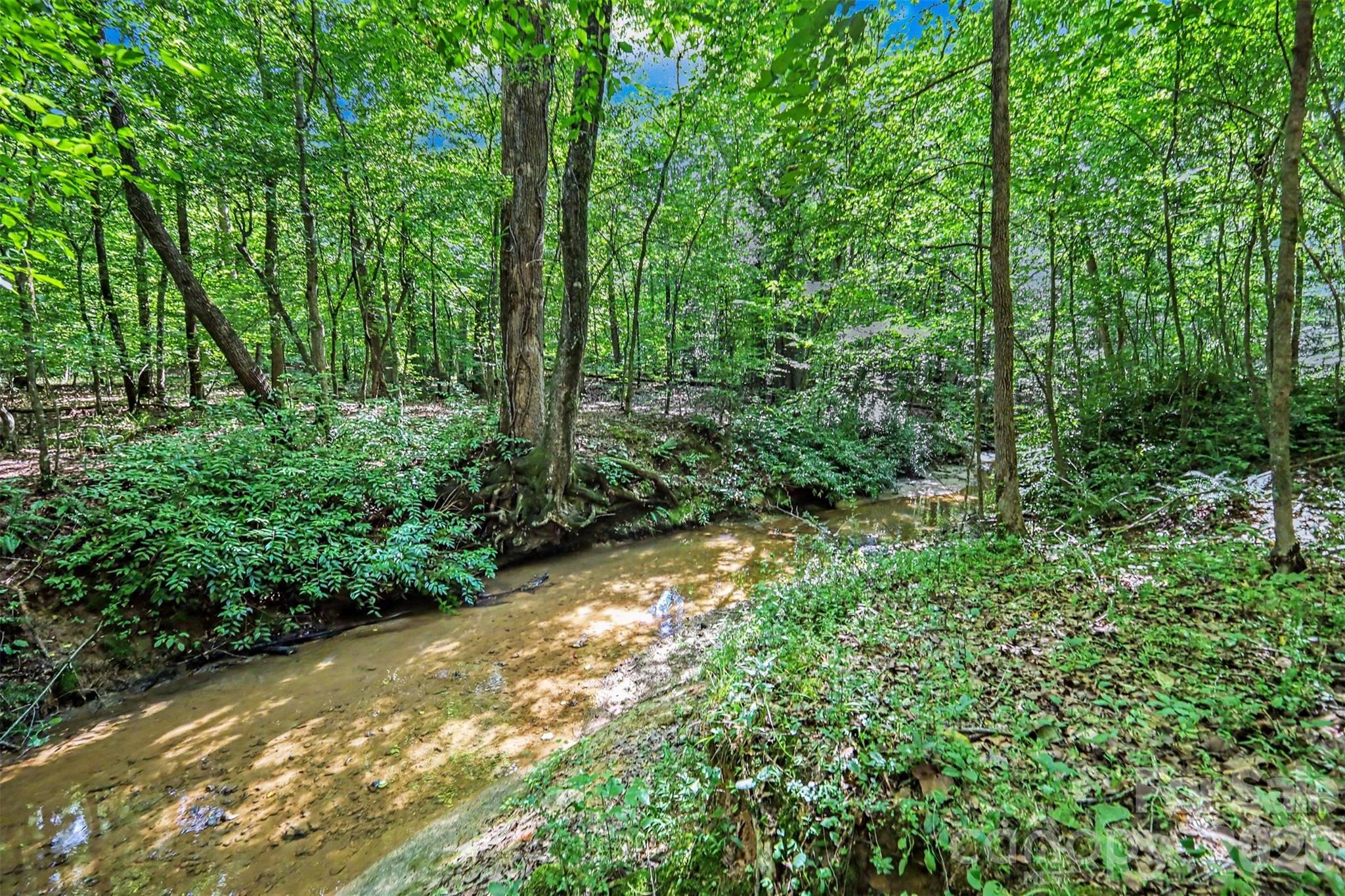 433 Foster Lake Road — Blacksburg