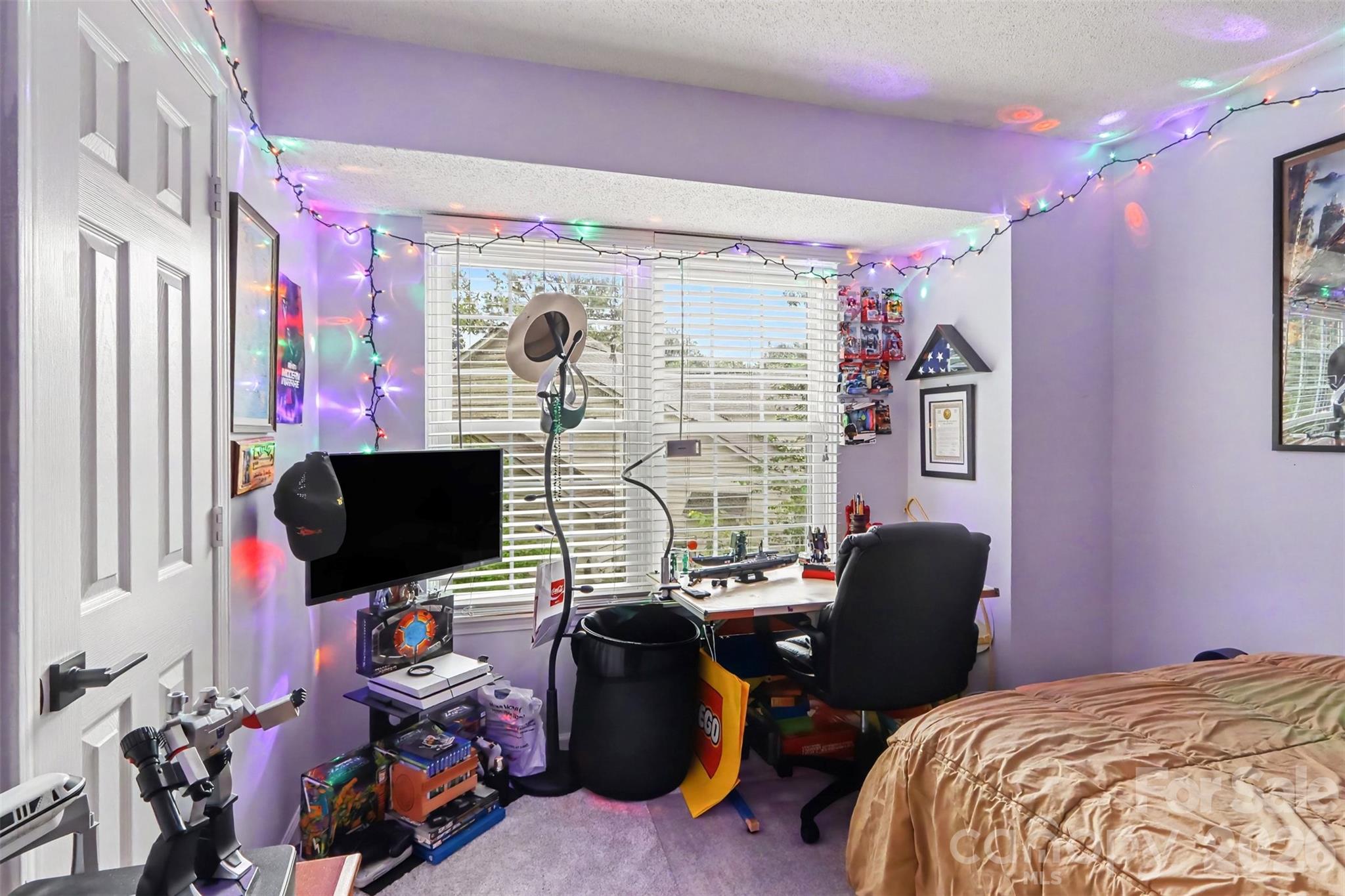 12021 Mourning Dove Lane — Charlotte