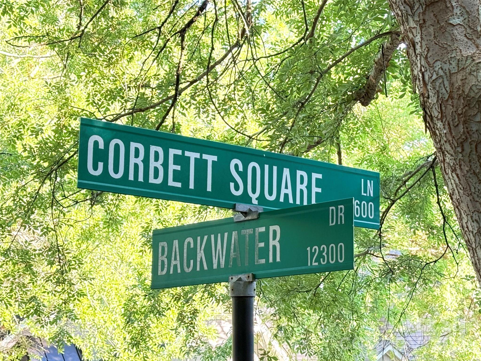 9610 Corbett Square Lane — Charlotte