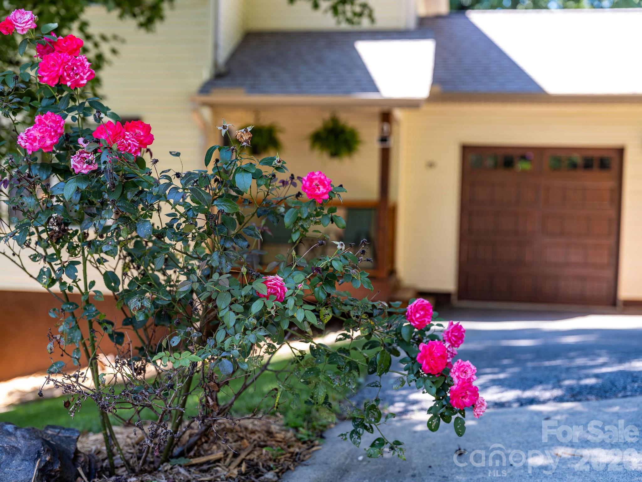 19 Oakcrest Place — Asheville