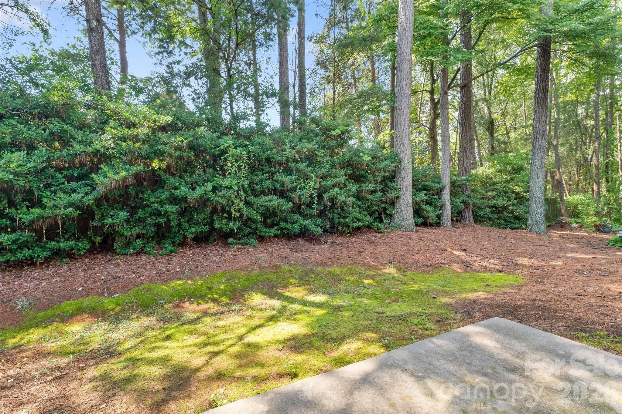 4818 Whistling Oak Court — Charlotte