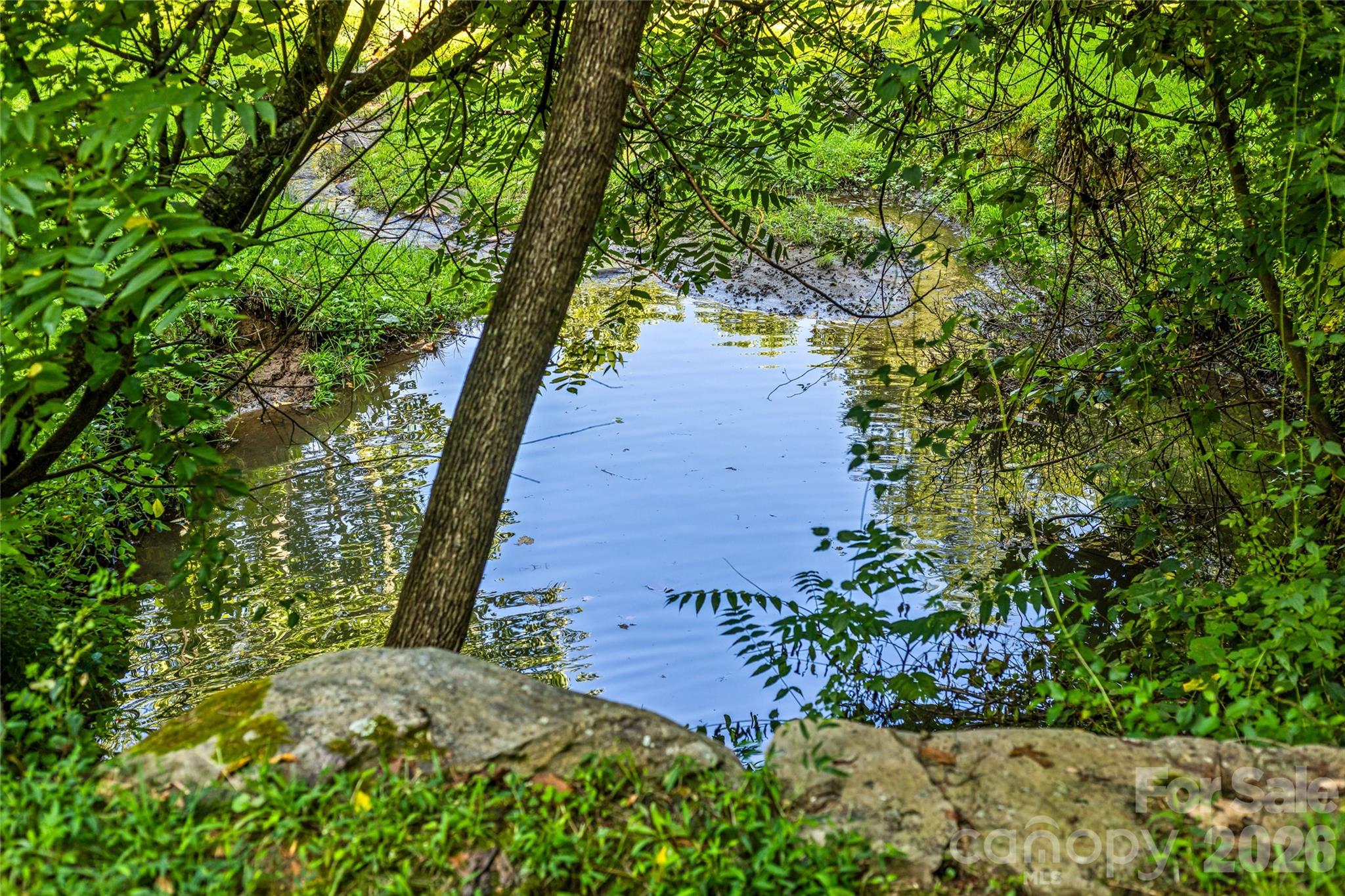 820 Merrills Cove Road — Asheville
