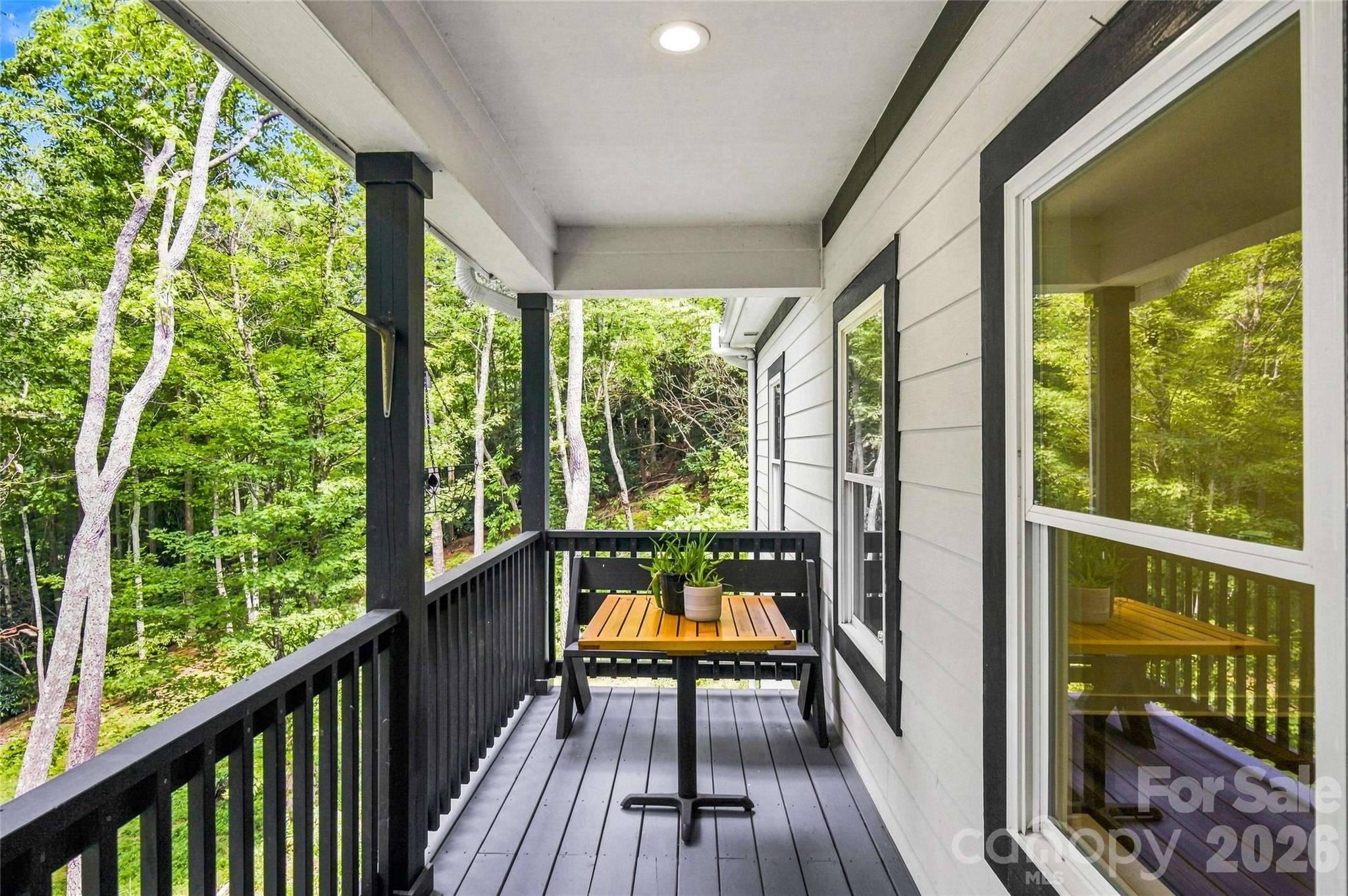820 Merrills Cove Road — Asheville