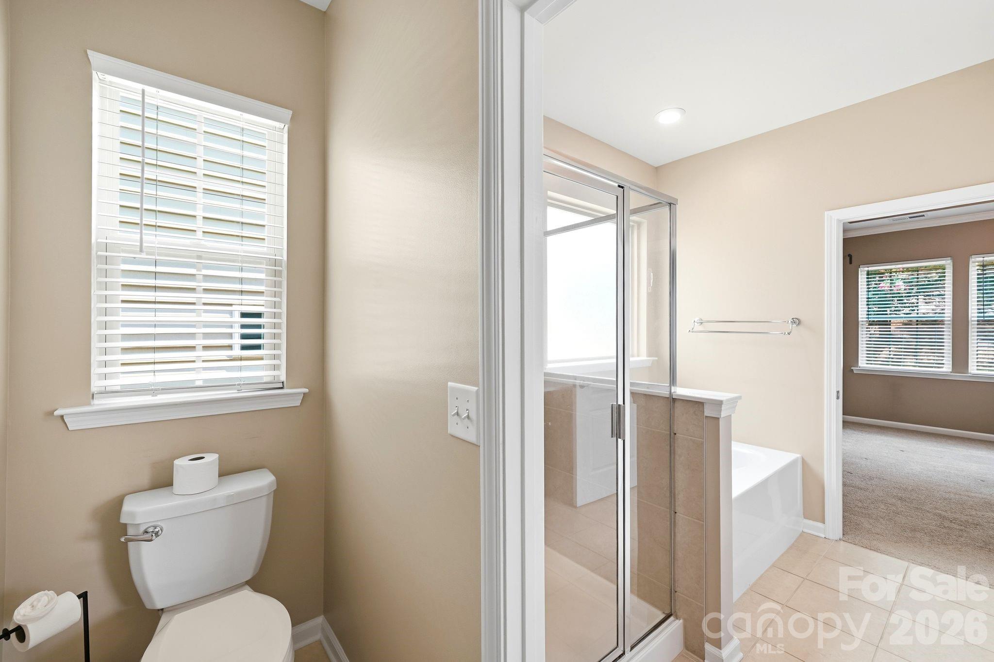 13313 Canterbury Castle Drive — Charlotte