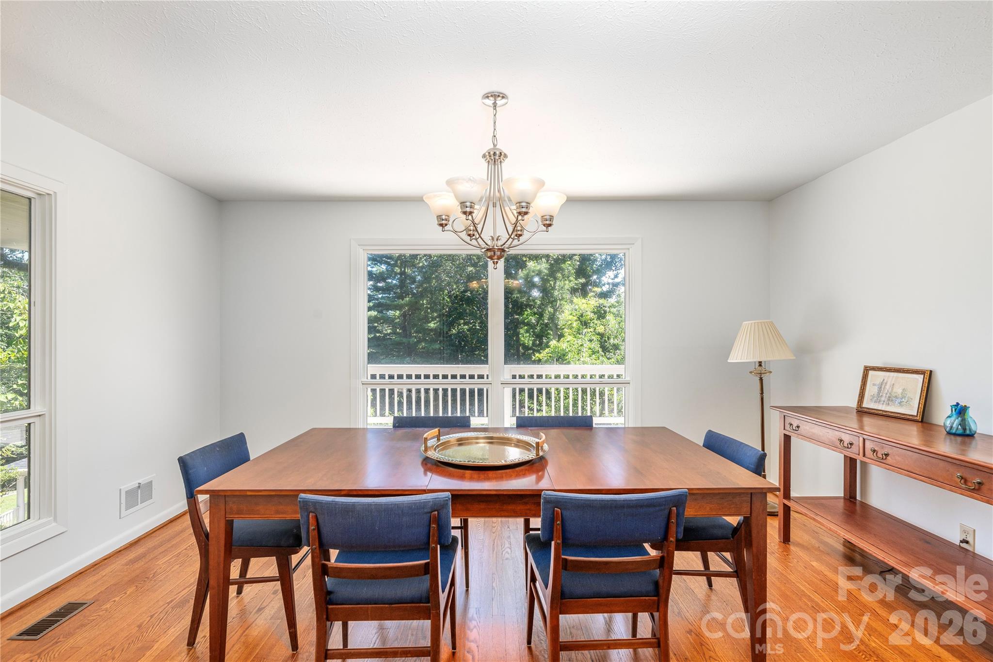 38 Forest View Drive — Asheville
