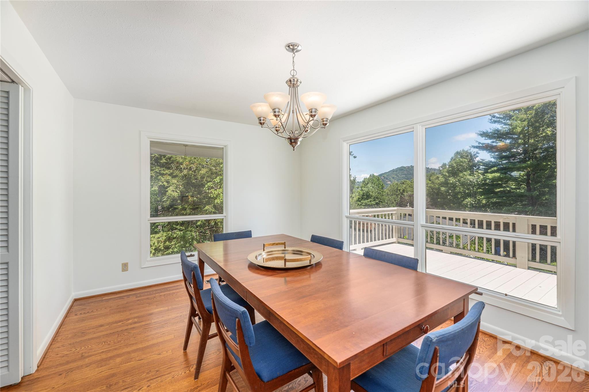 38 Forest View Drive — Asheville