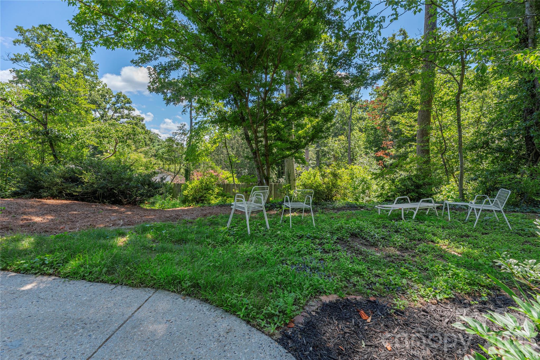 38 Forest View Drive — Asheville