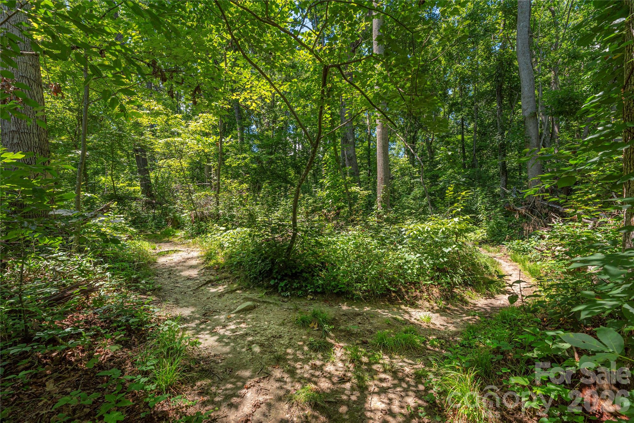 38 Forest View Drive — Asheville