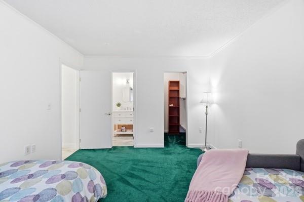 4816 Spring Lake Road — Charlotte