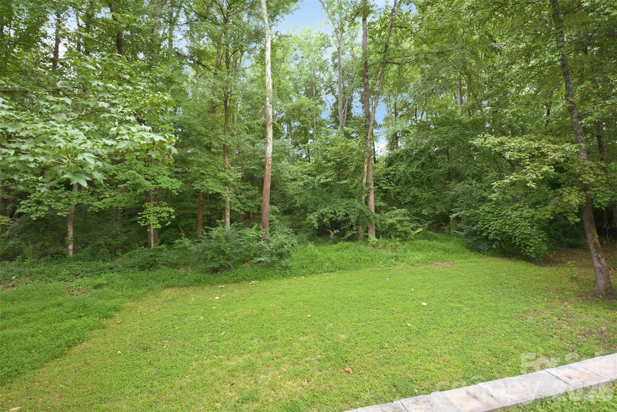 11911 Royal Castle Court — Charlotte