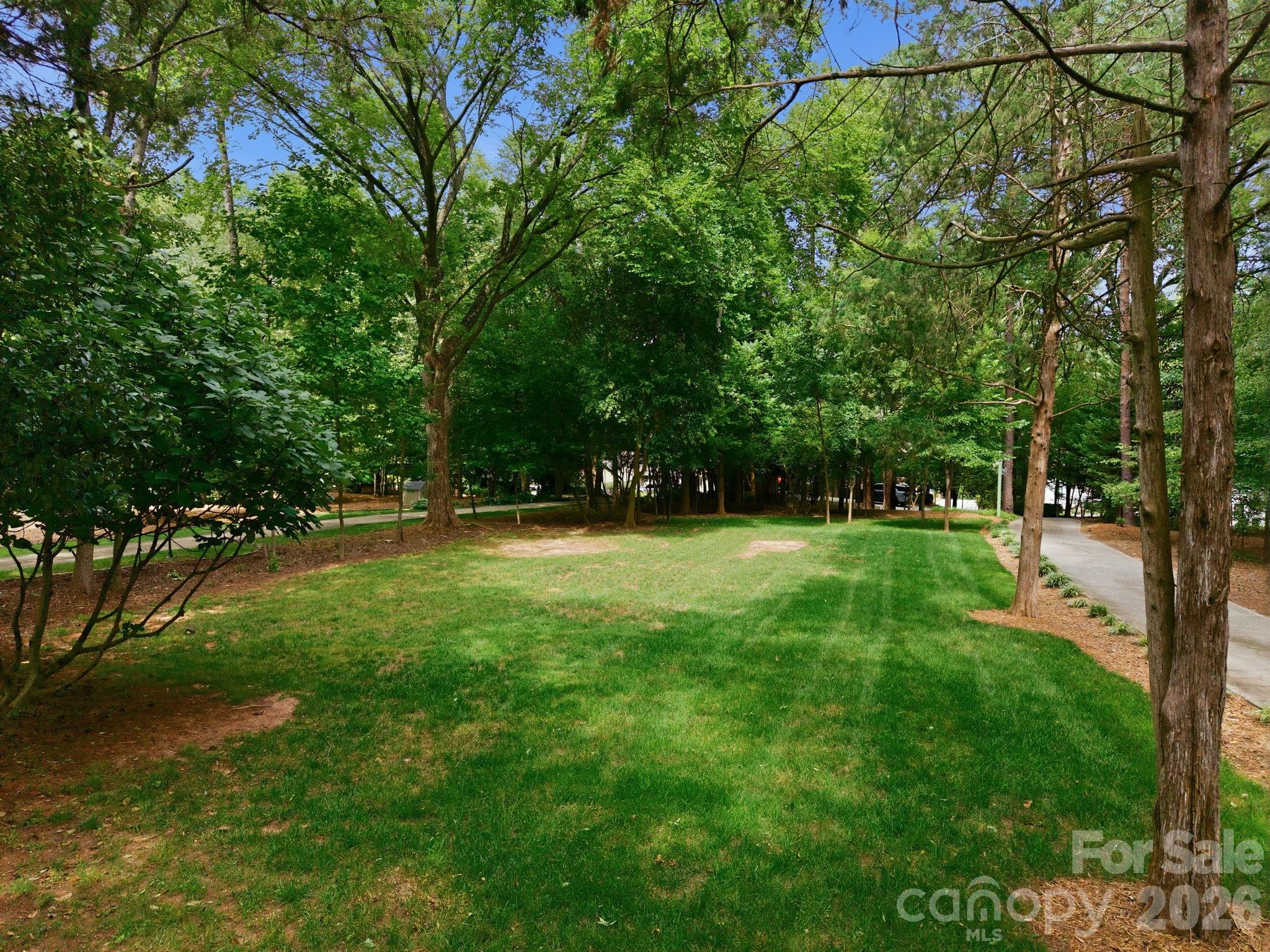 20334 Bethelwood Lane — Cornelius
