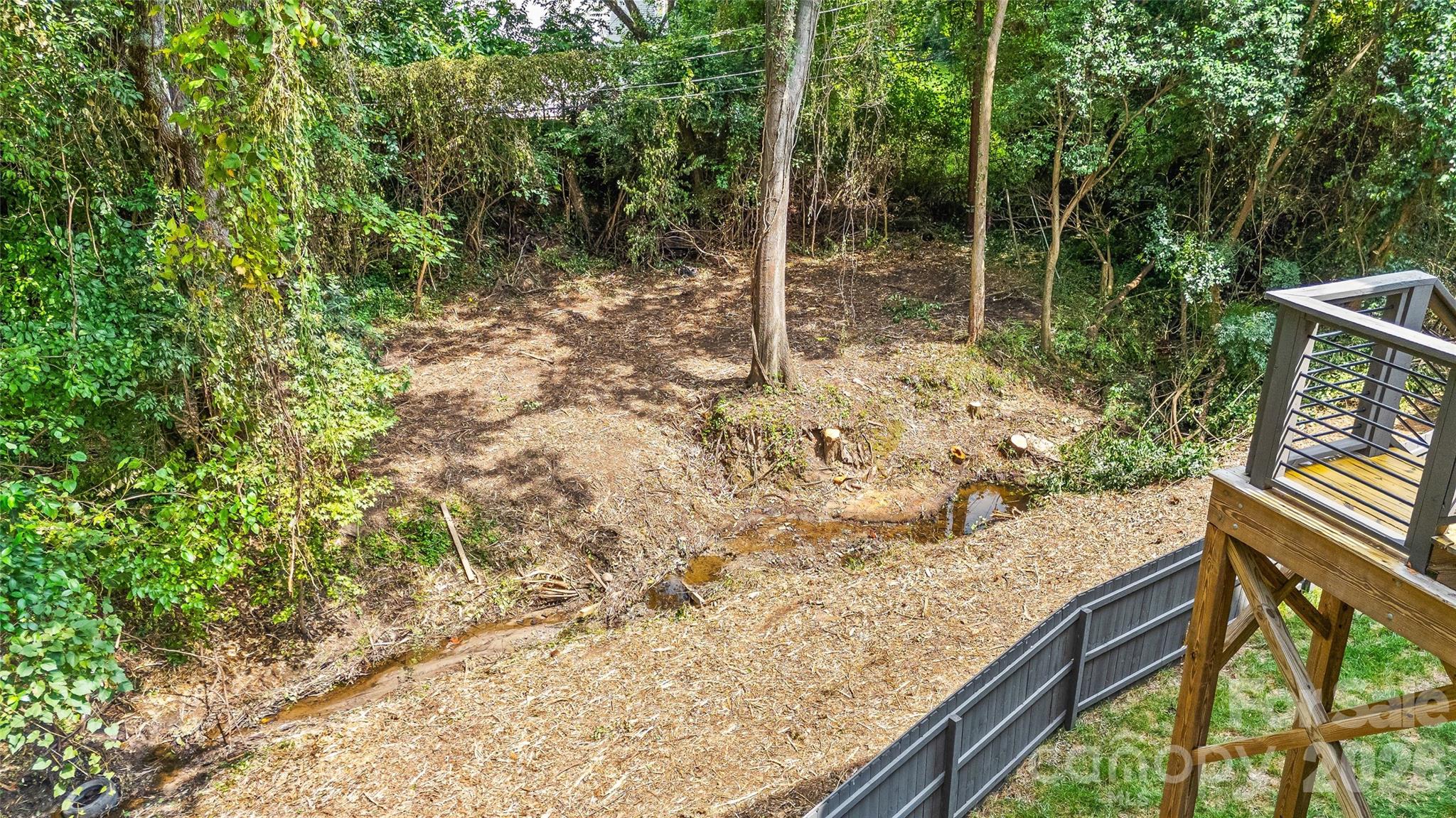 1429 Belle Terre Avenue — Charlotte