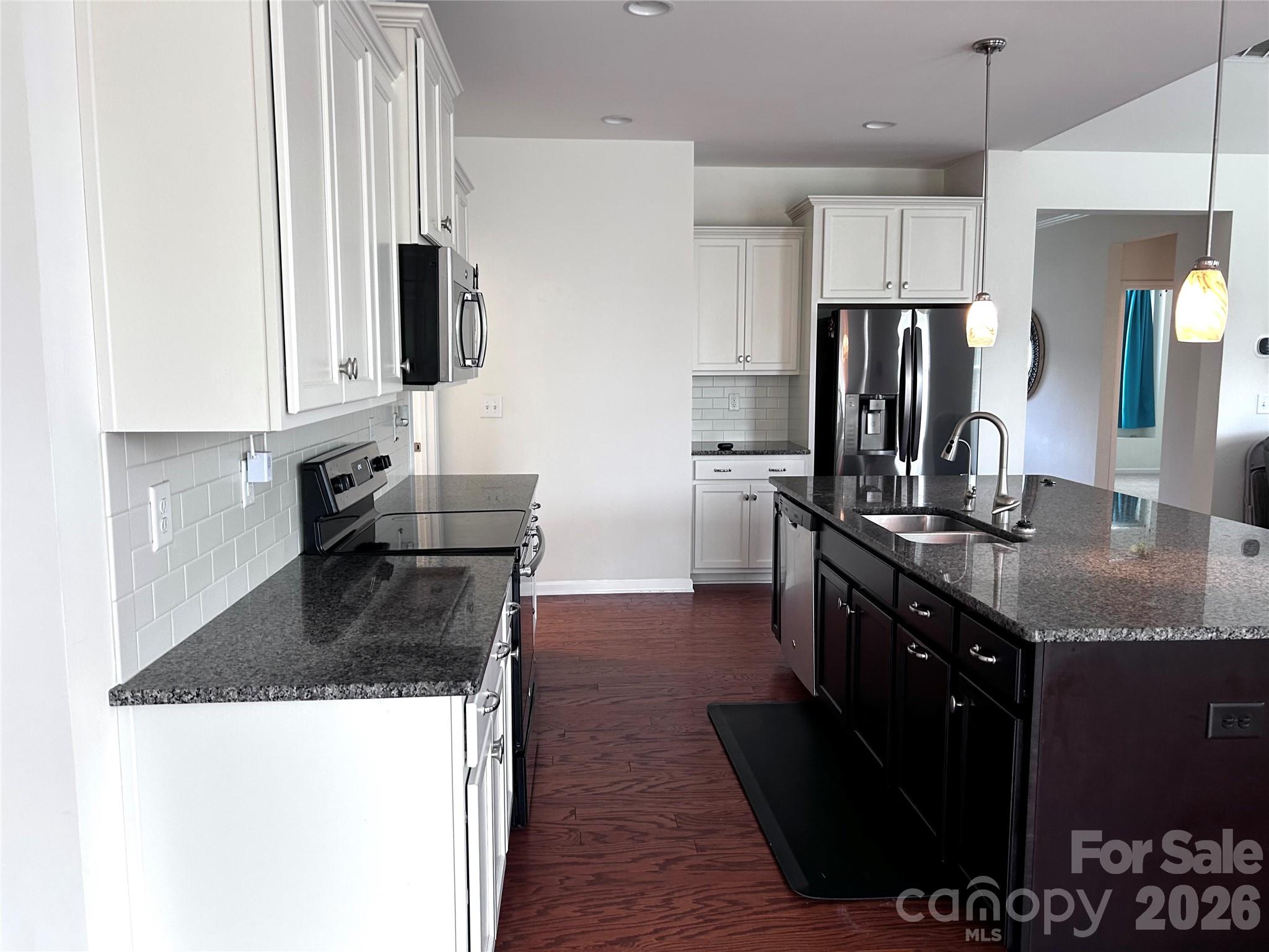 11132 Damson Plum Lane — Charlotte