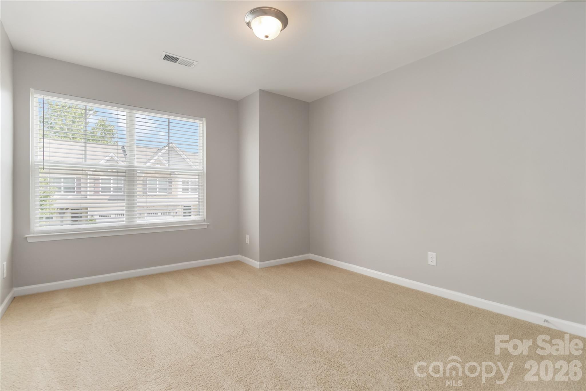 11311 Savannah Creek Drive — Charlotte
