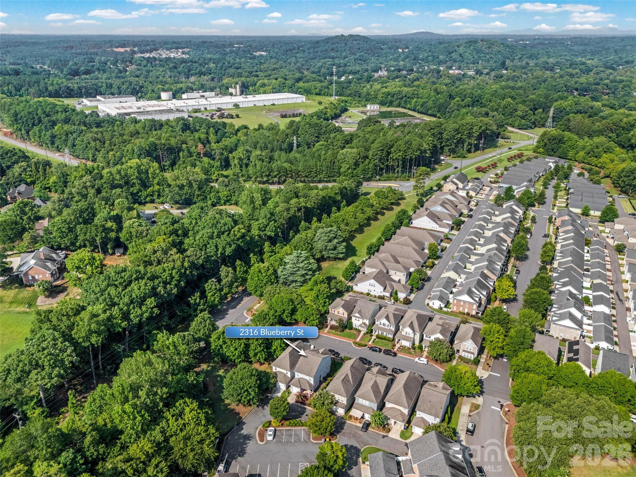 2316 Blueberry Street — Belmont